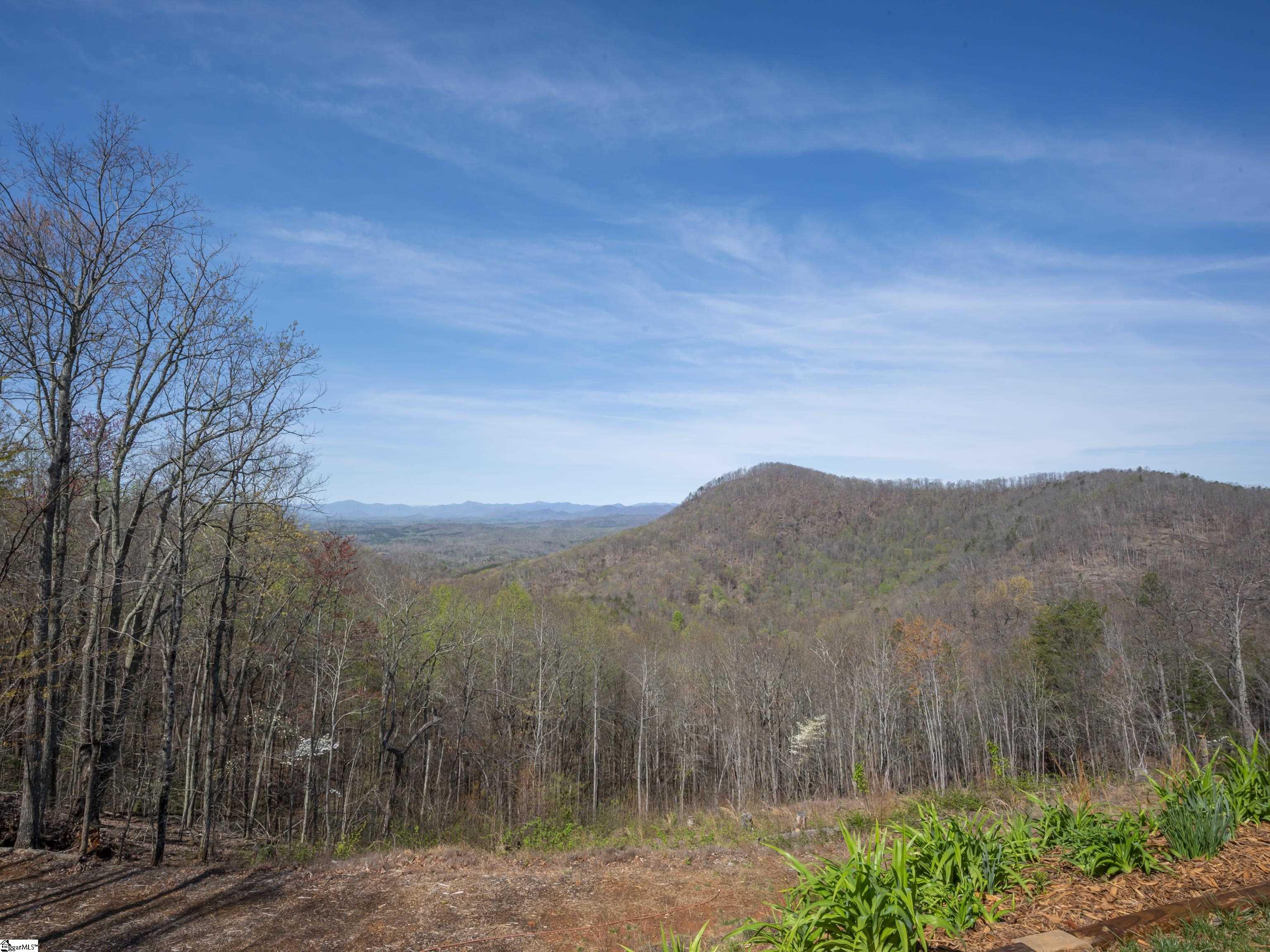 241 Mtn Lookout, Bostic, North Carolina image 10