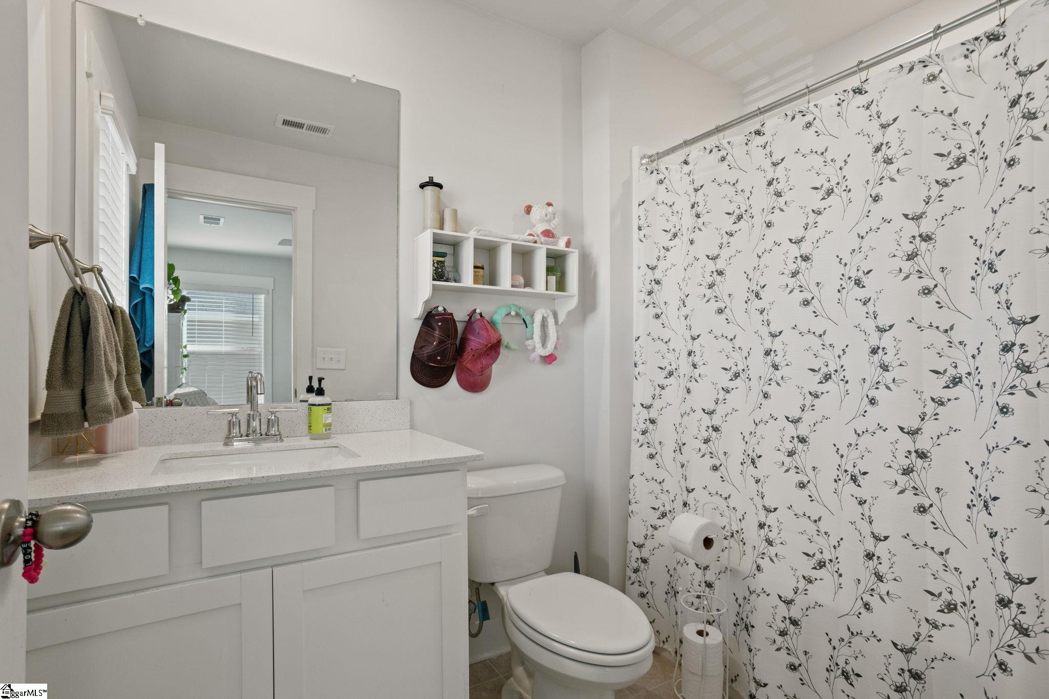 305 Pewter, Simpsonville, South Carolina image 29