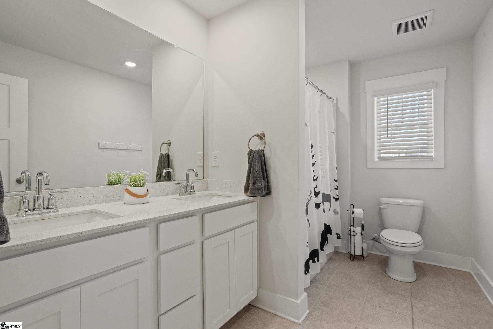 305 Pewter, Simpsonville, South Carolina image 30