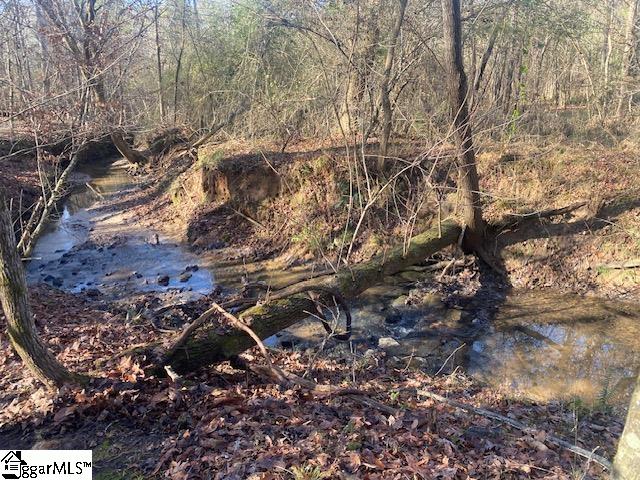 105 Dogleg, Laurens, South Carolina image 3