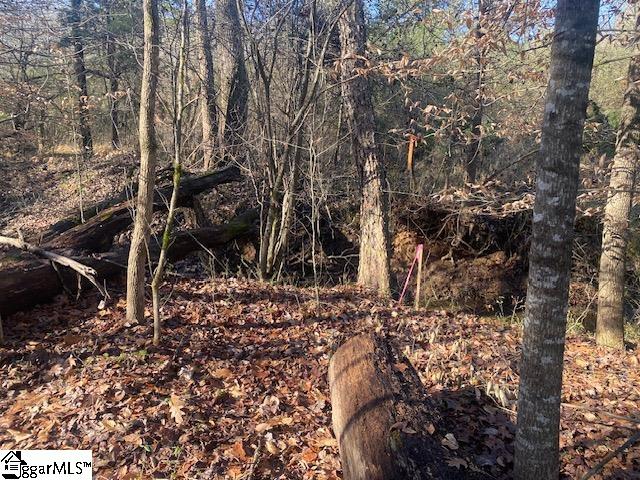 105 Dogleg, Laurens, South Carolina image 5