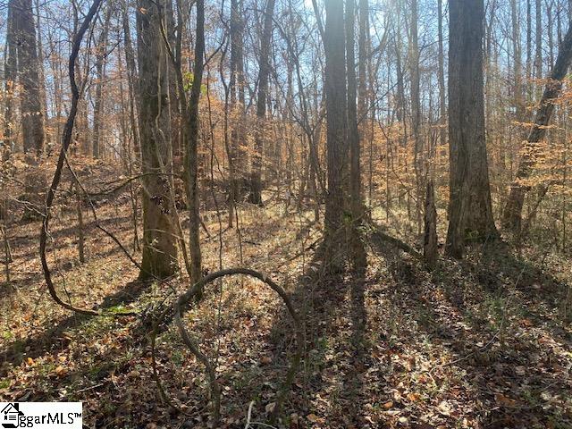 105 Dogleg, Laurens, South Carolina image 8