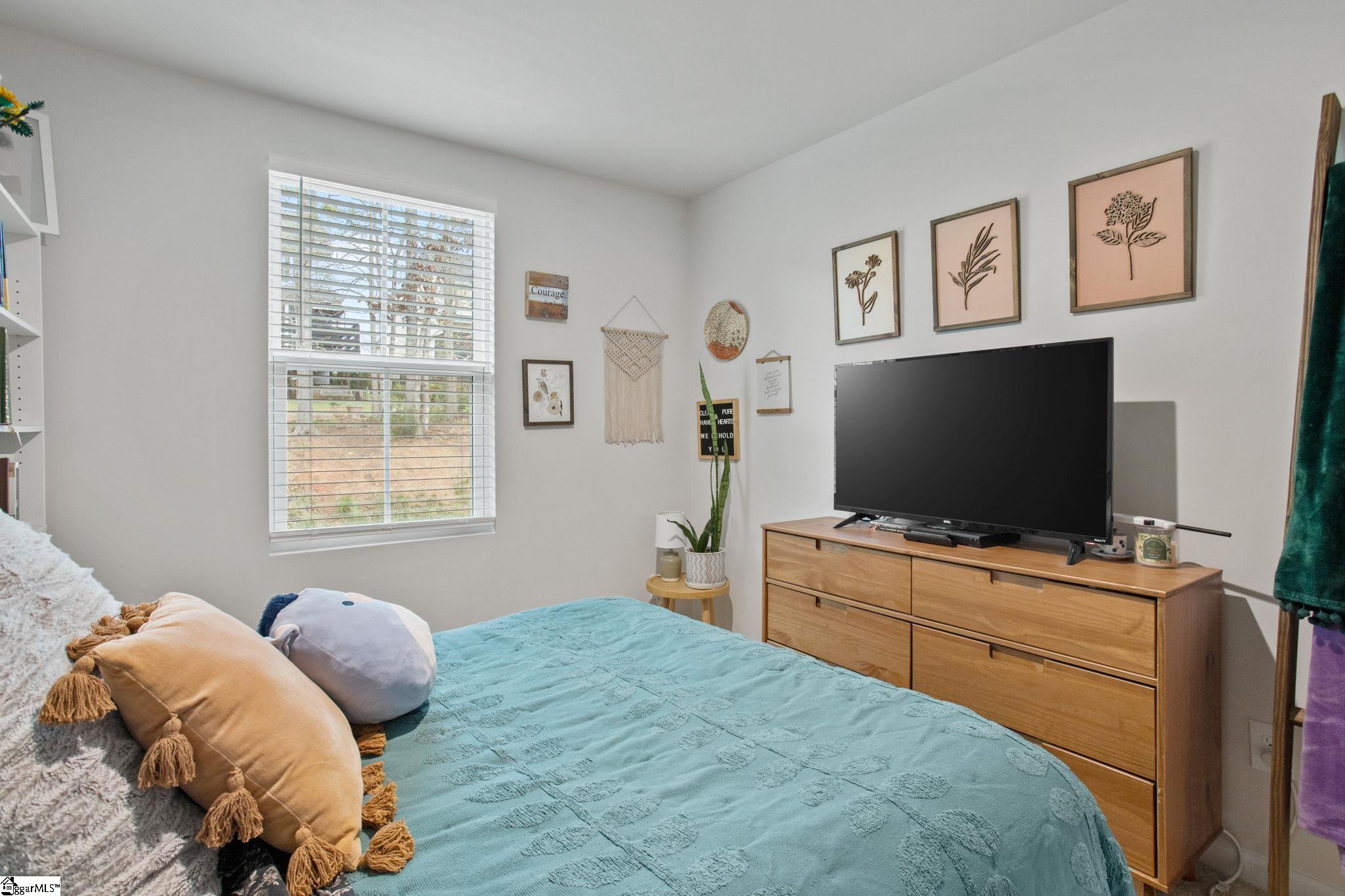 163 Sarnsfield, Greenville, South Carolina image 18