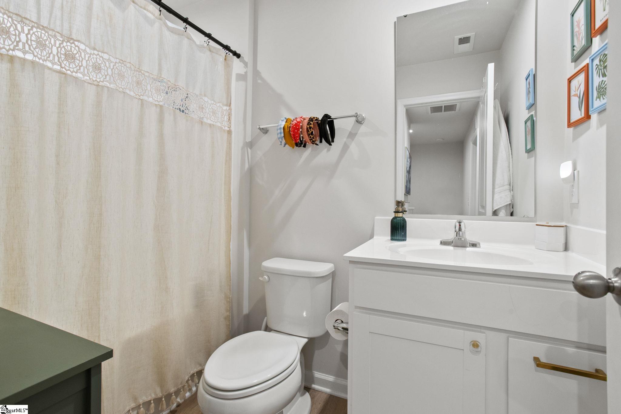 163 Sarnsfield, Greenville, South Carolina image 19