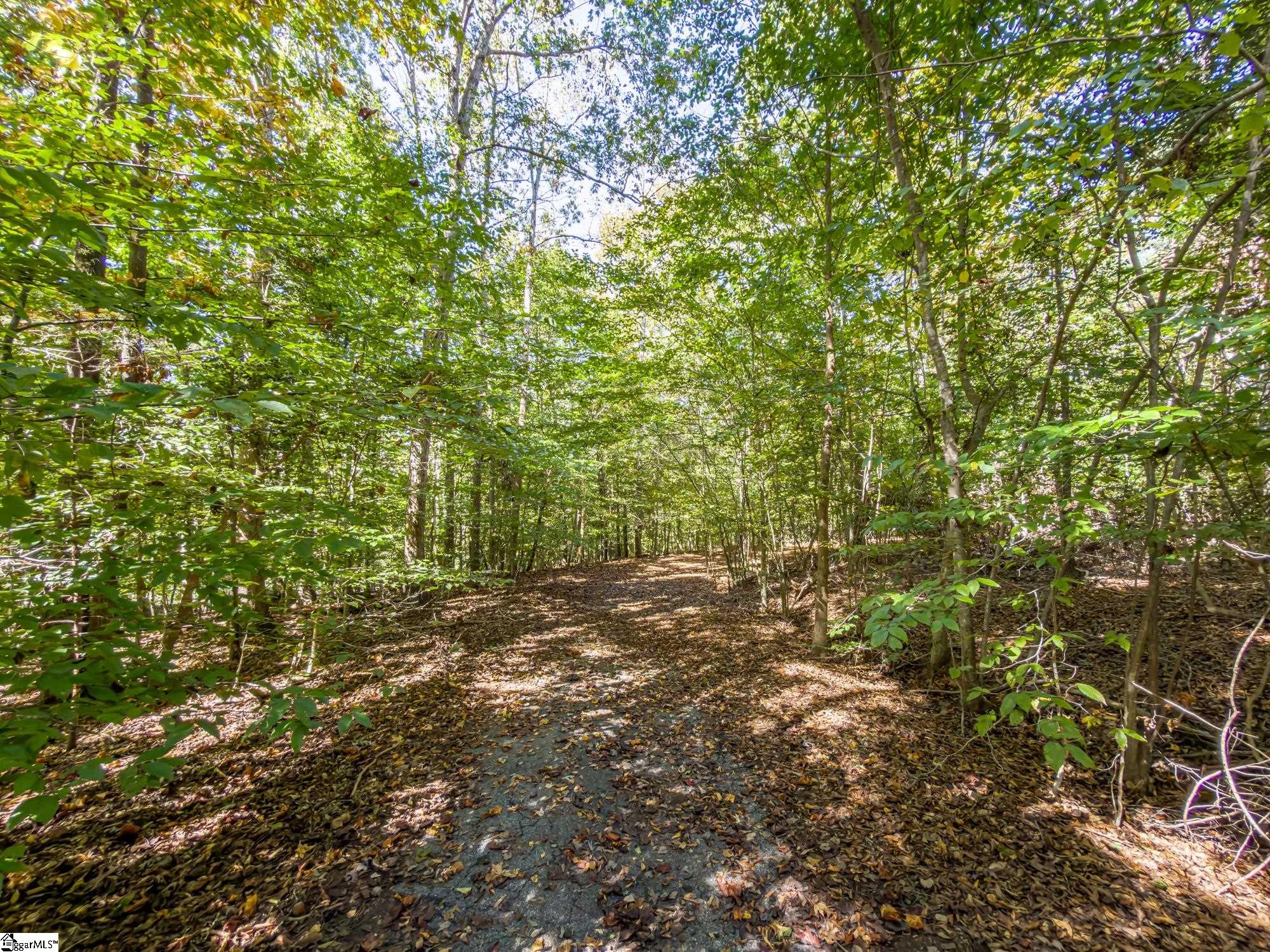 MLS #1553333 image #12