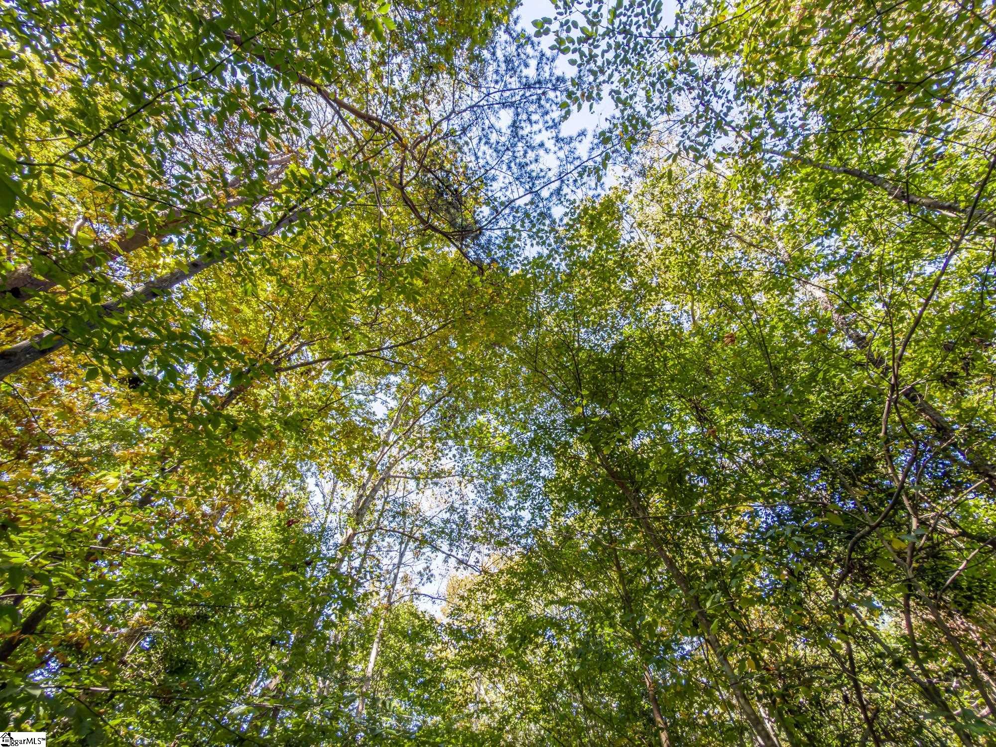 MLS #1553333 image #13