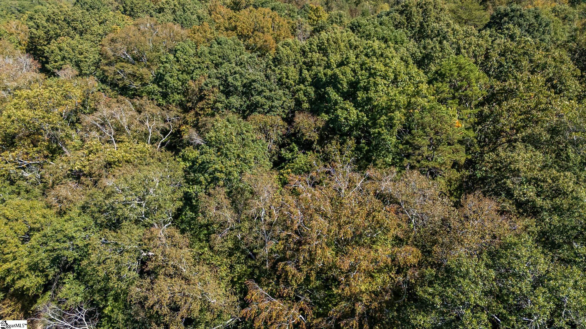 MLS #1553333 image #6