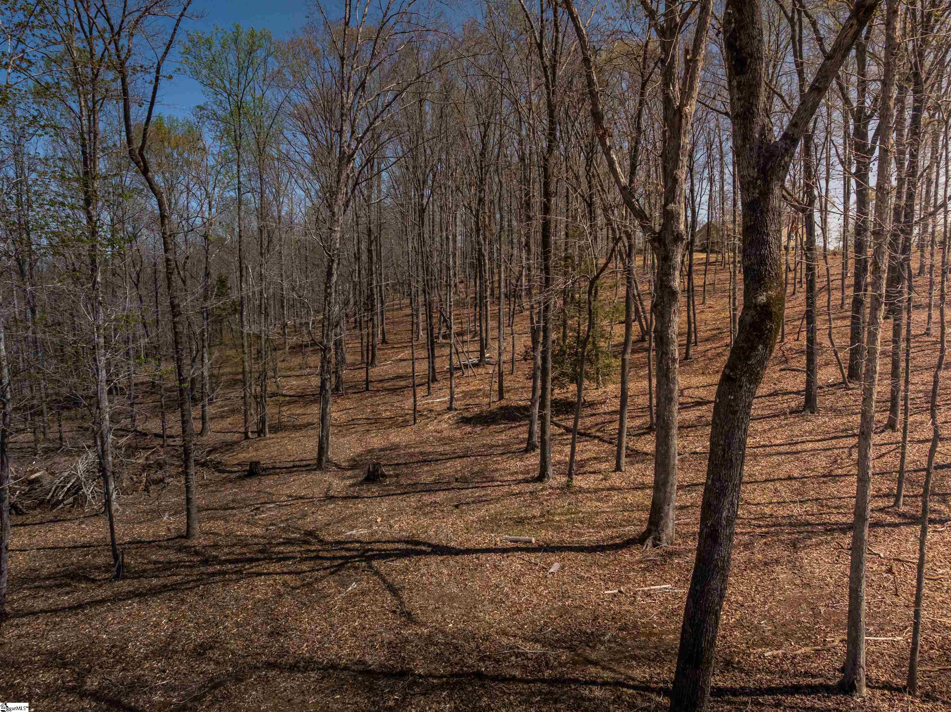 54 Woodall, Greenville, South Carolina image 25
