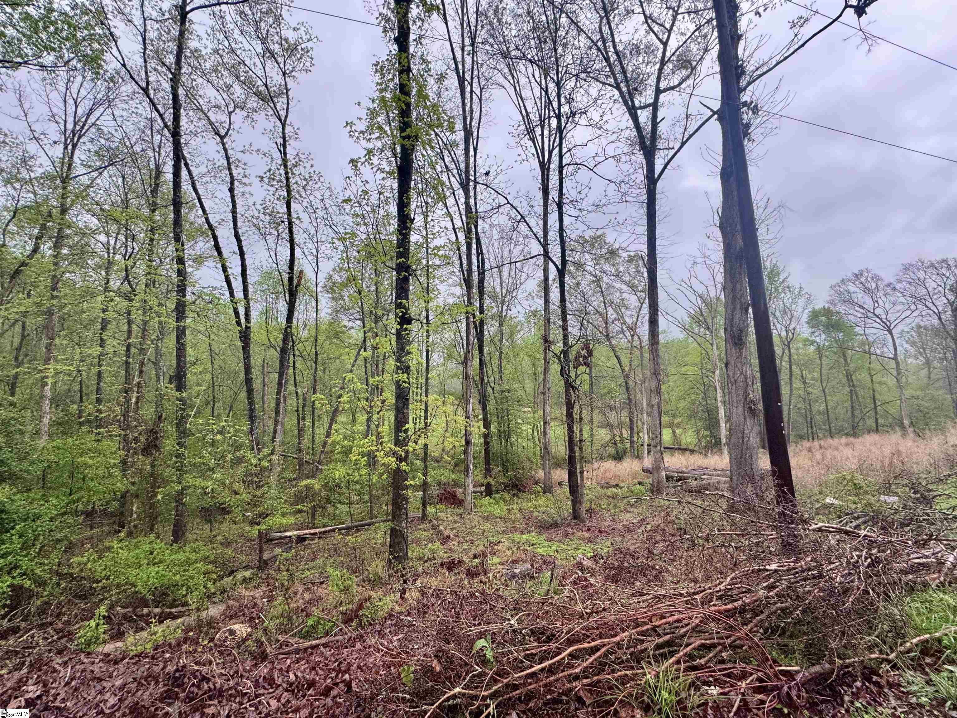 Country Glen, Pelzer, South Carolina image 2