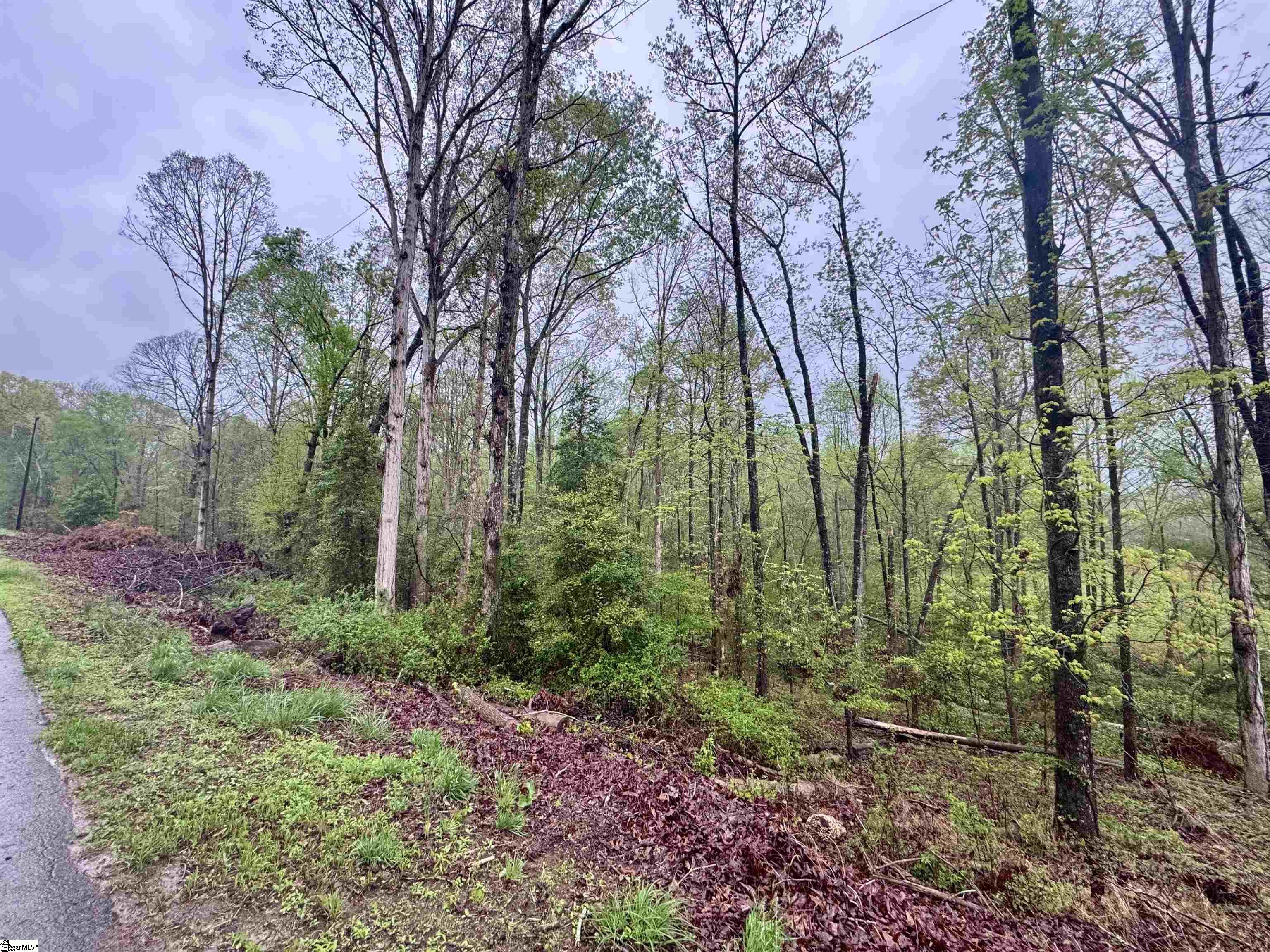 Country Glen, Pelzer, South Carolina image 3