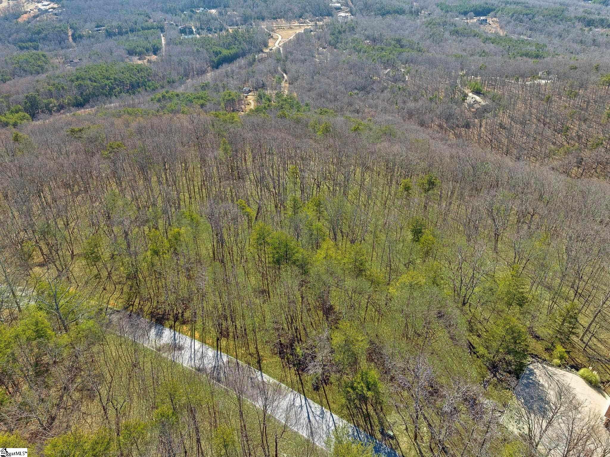 18 Granite Knob, Landrum, South Carolina image 14