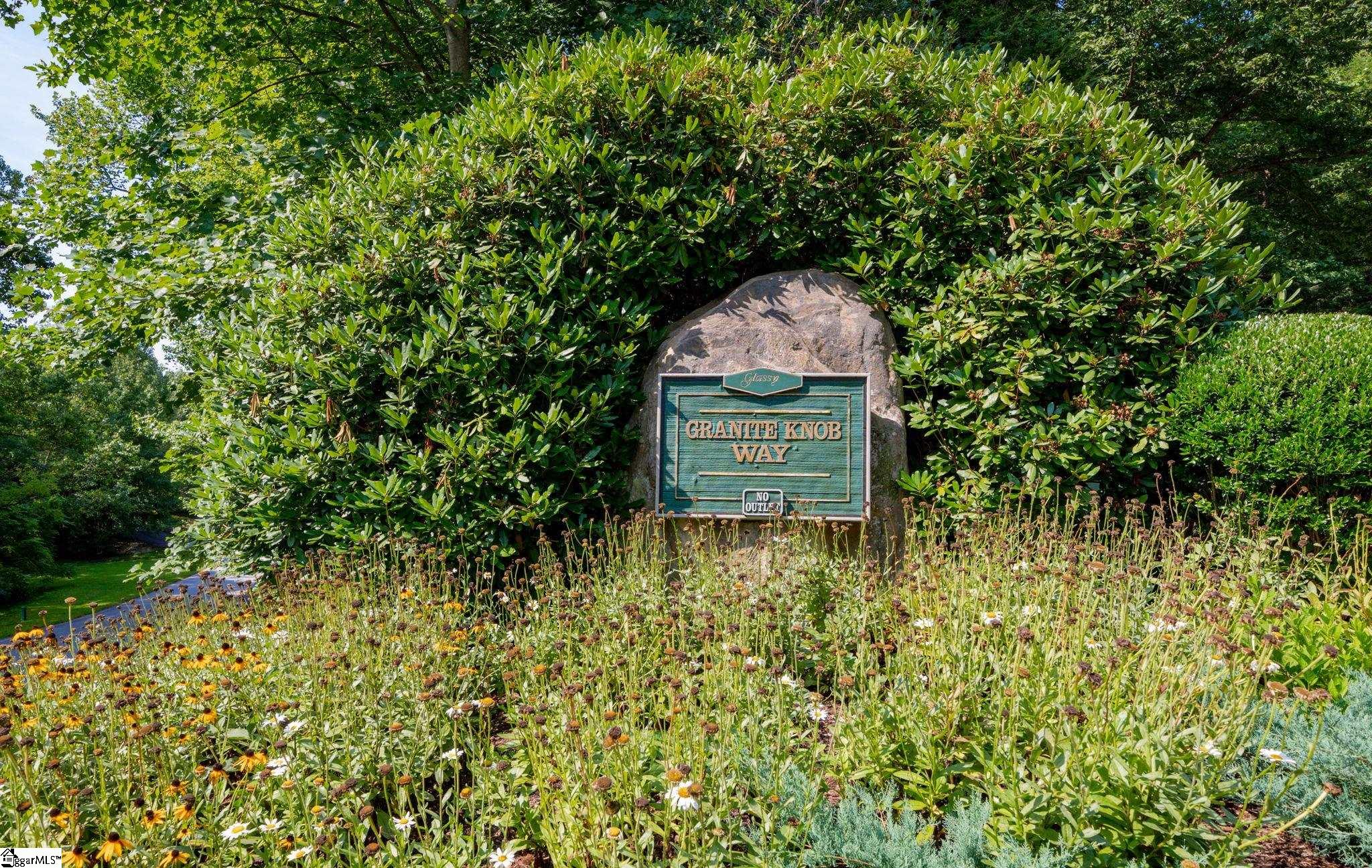 18 Granite Knob, Landrum, South Carolina image 3
