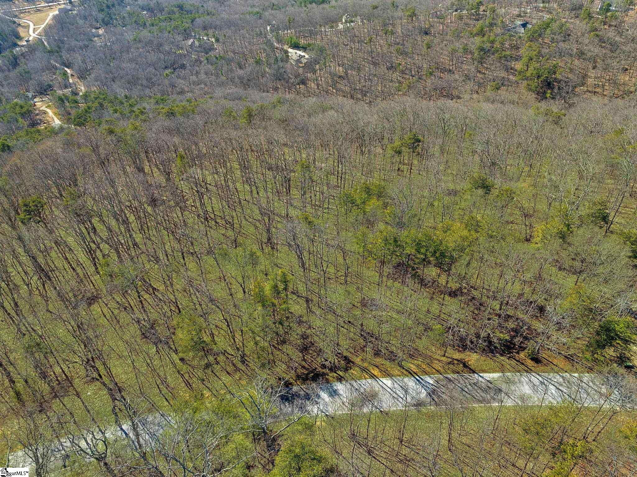18 Granite Knob, Landrum, South Carolina image 21