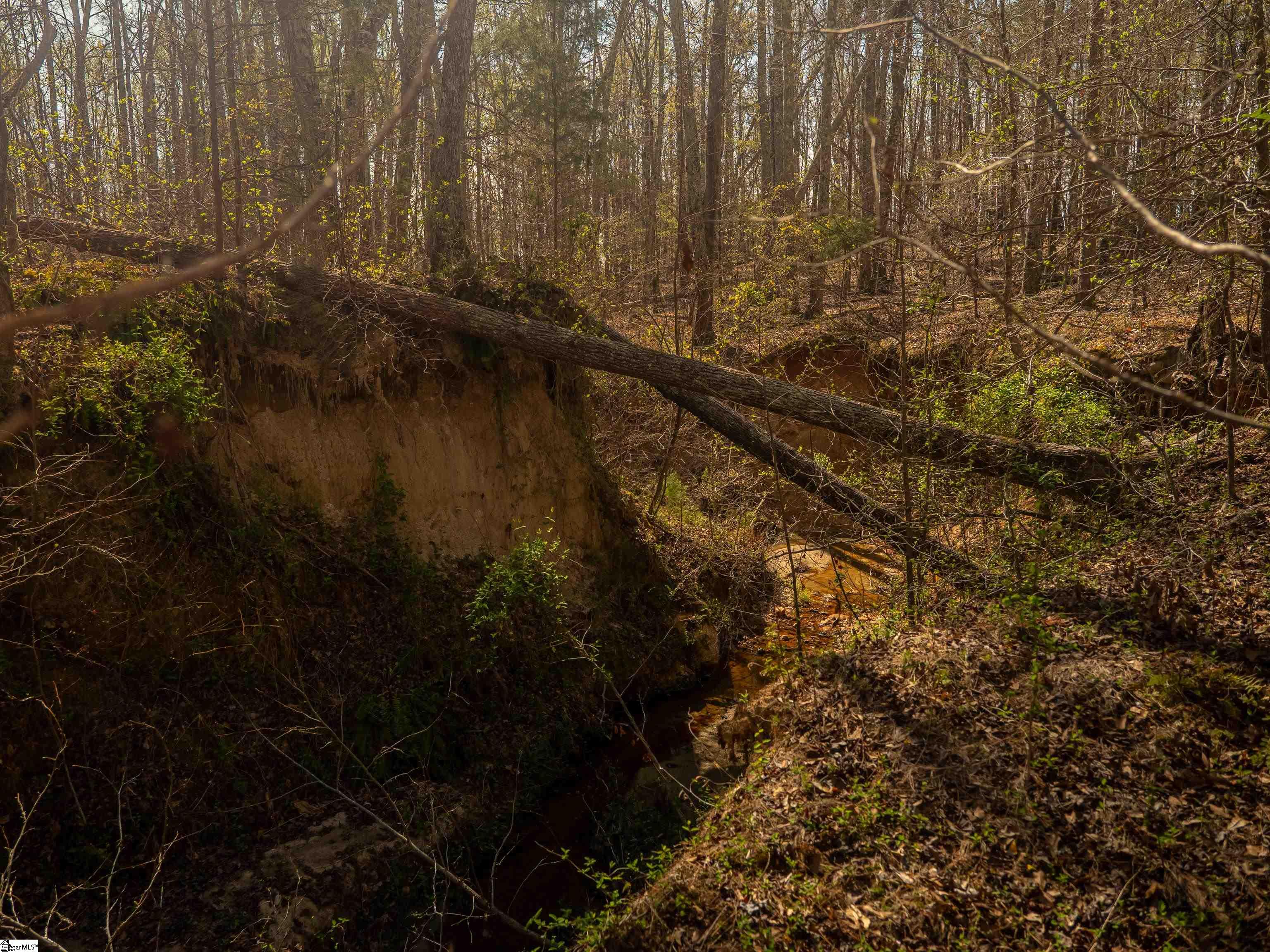 00 Ridge, Enoree, South Carolina image 18