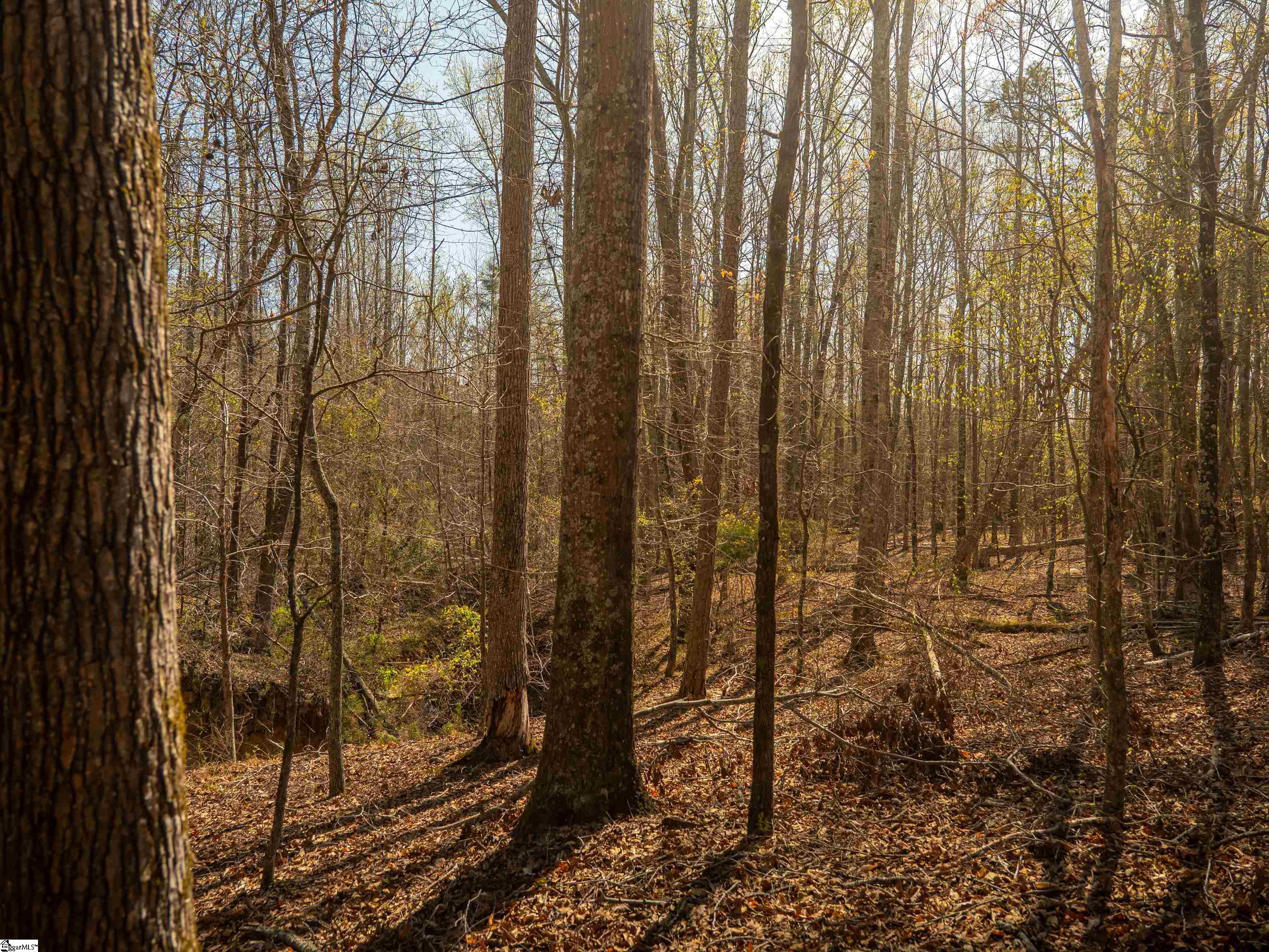 00 Ridge, Enoree, South Carolina image 24