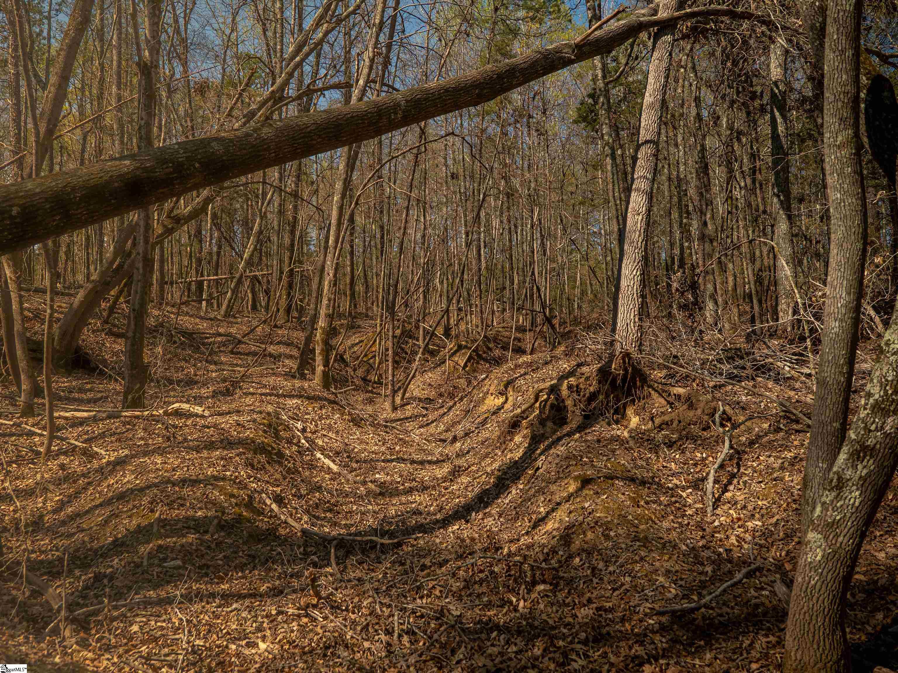 00 Ridge, Enoree, South Carolina image 25
