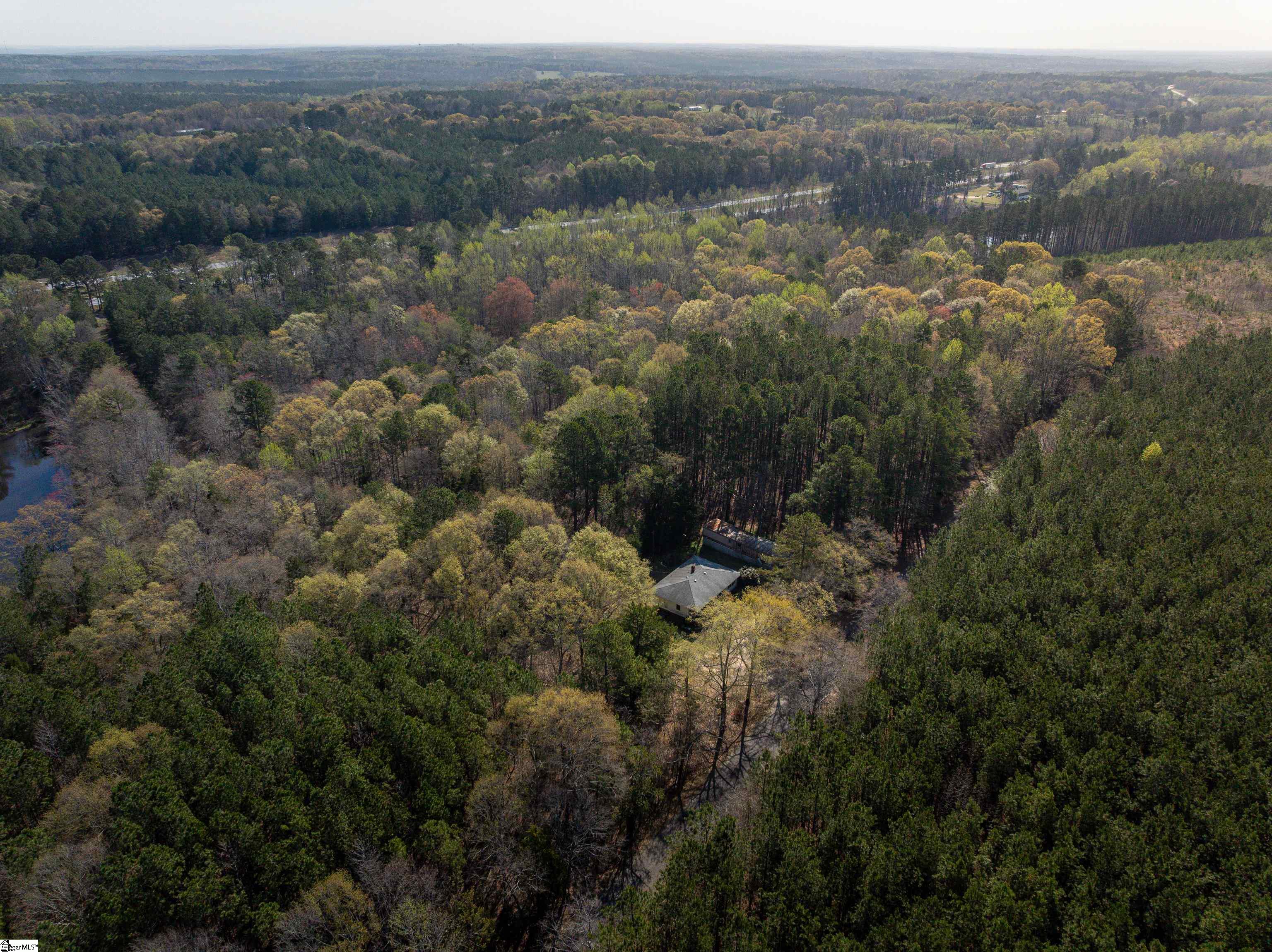 00 Ridge, Enoree, South Carolina image 5