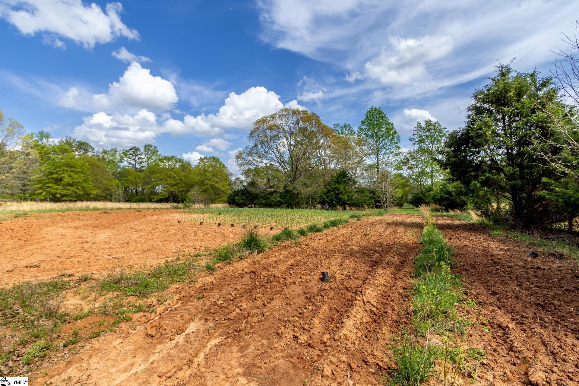 365 Old Bethel, Moore, South Carolina image 32