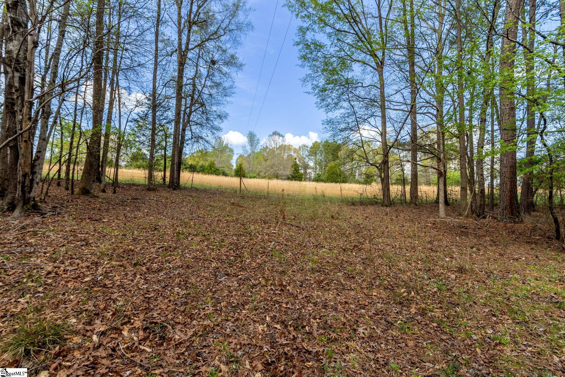 365 Old Bethel, Moore, South Carolina image 42