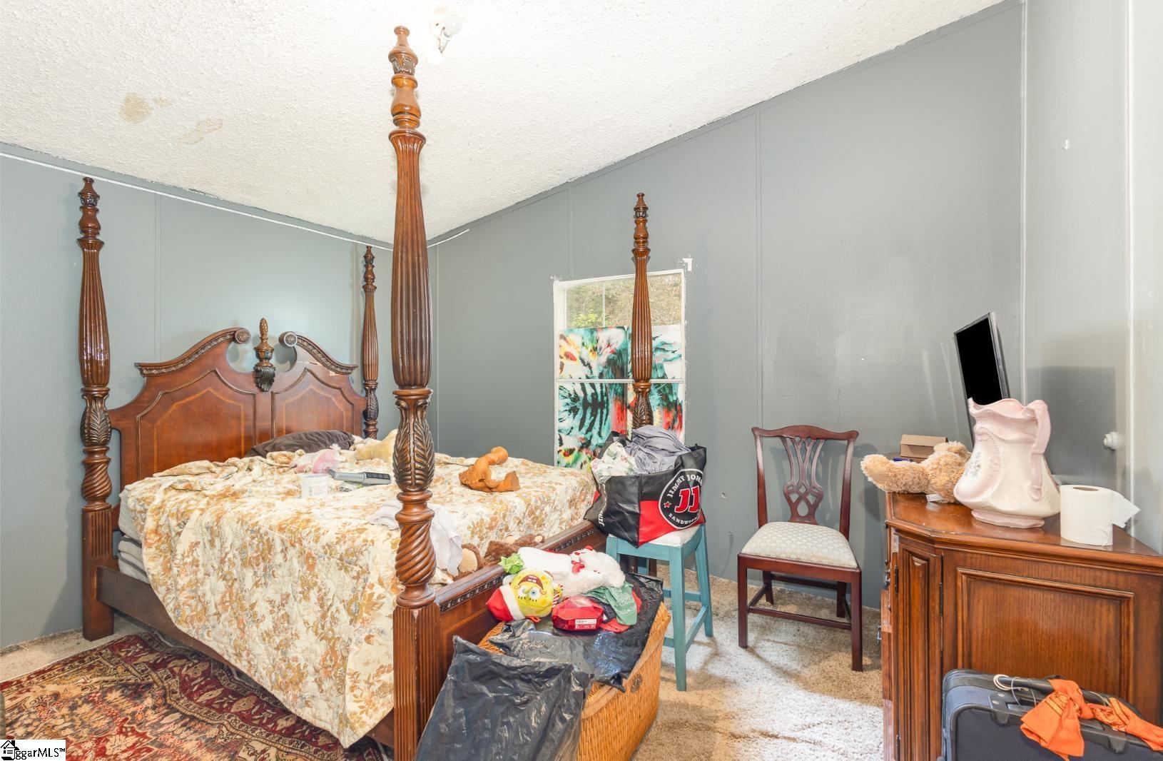 123 White Horse, Greenville, South Carolina image 23