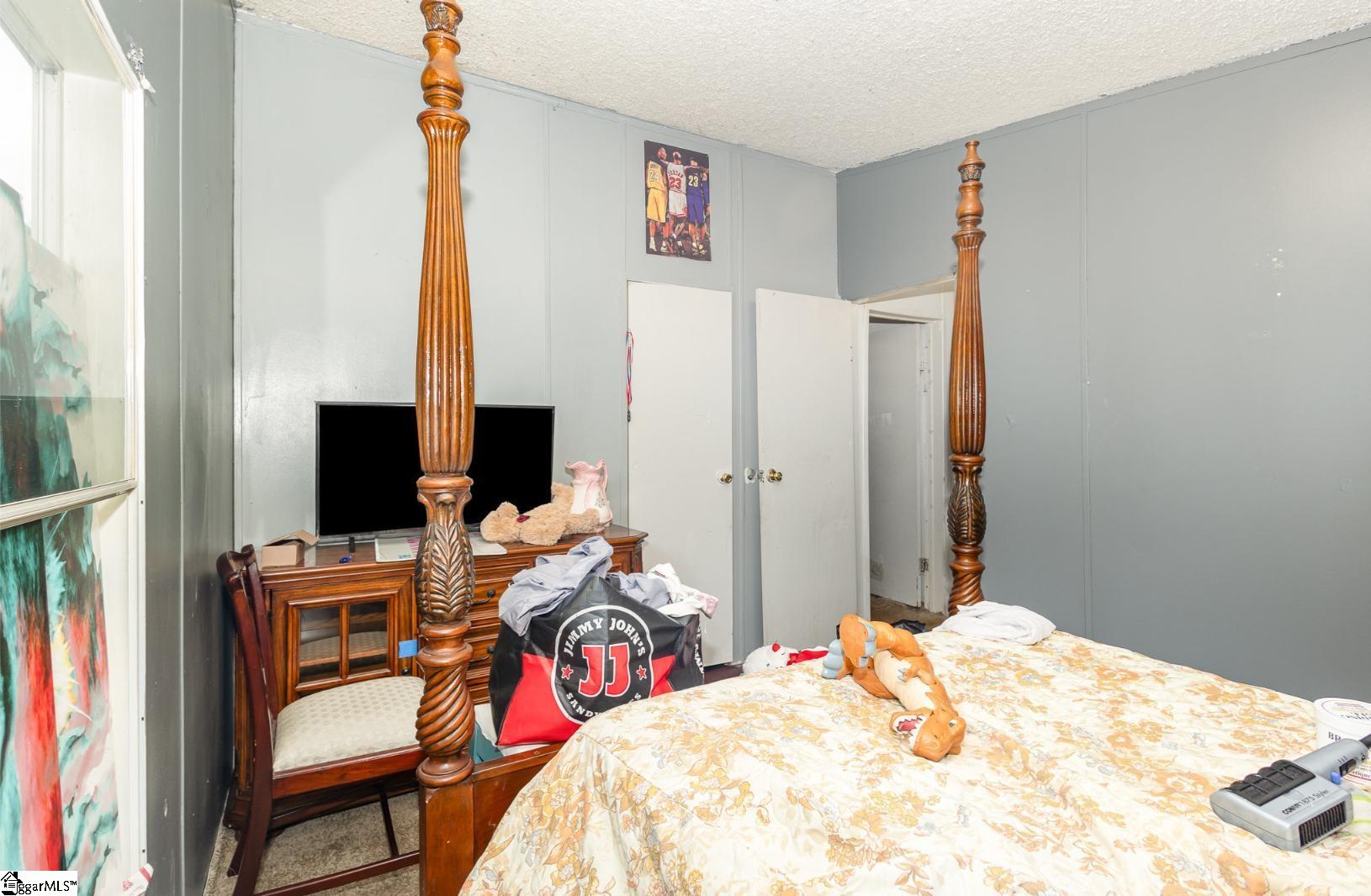 123 White Horse, Greenville, South Carolina image 24