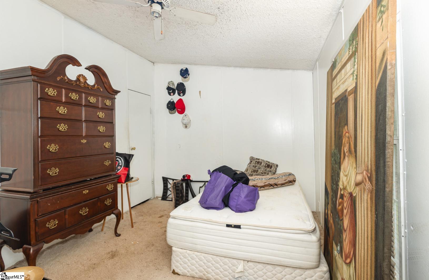 123 White Horse, Greenville, South Carolina image 27