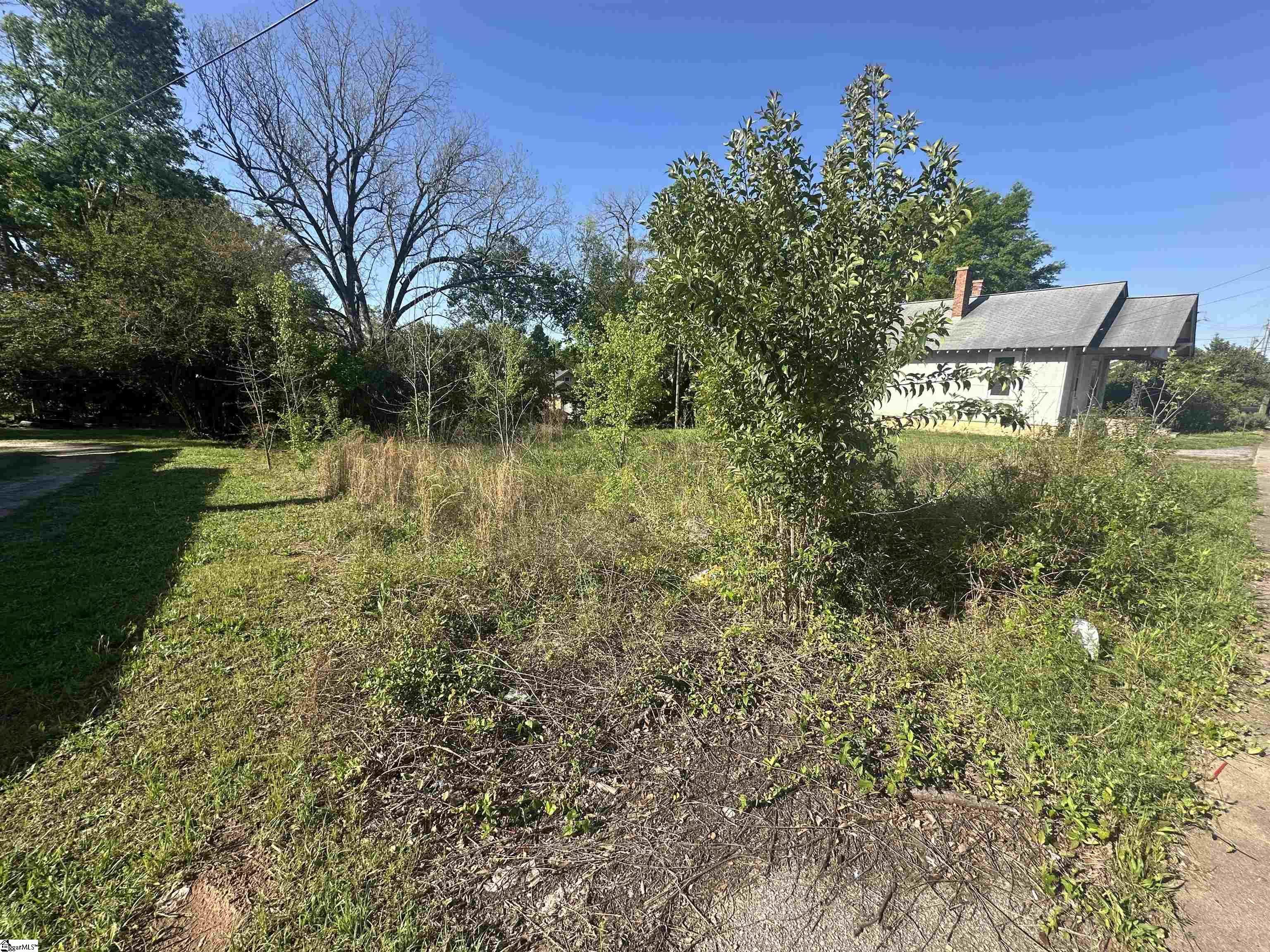 320 Fleming, Laurens, South Carolina image 4