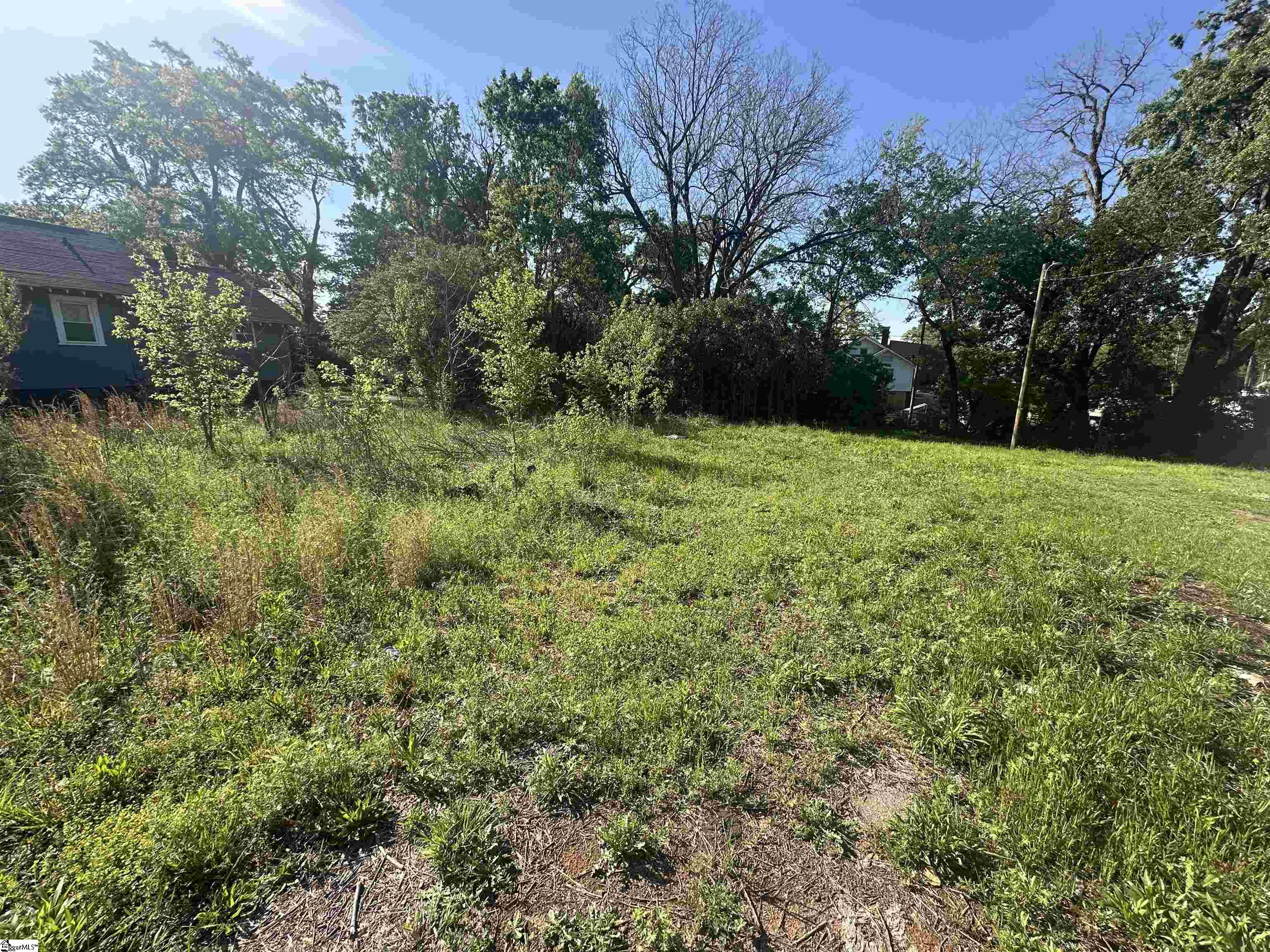 320 Fleming, Laurens, South Carolina image 6