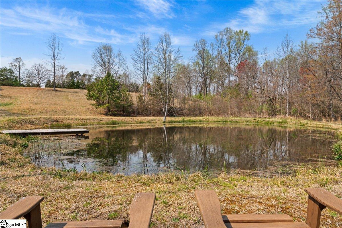 225 Settlement, Travelers Rest, South Carolina image 27