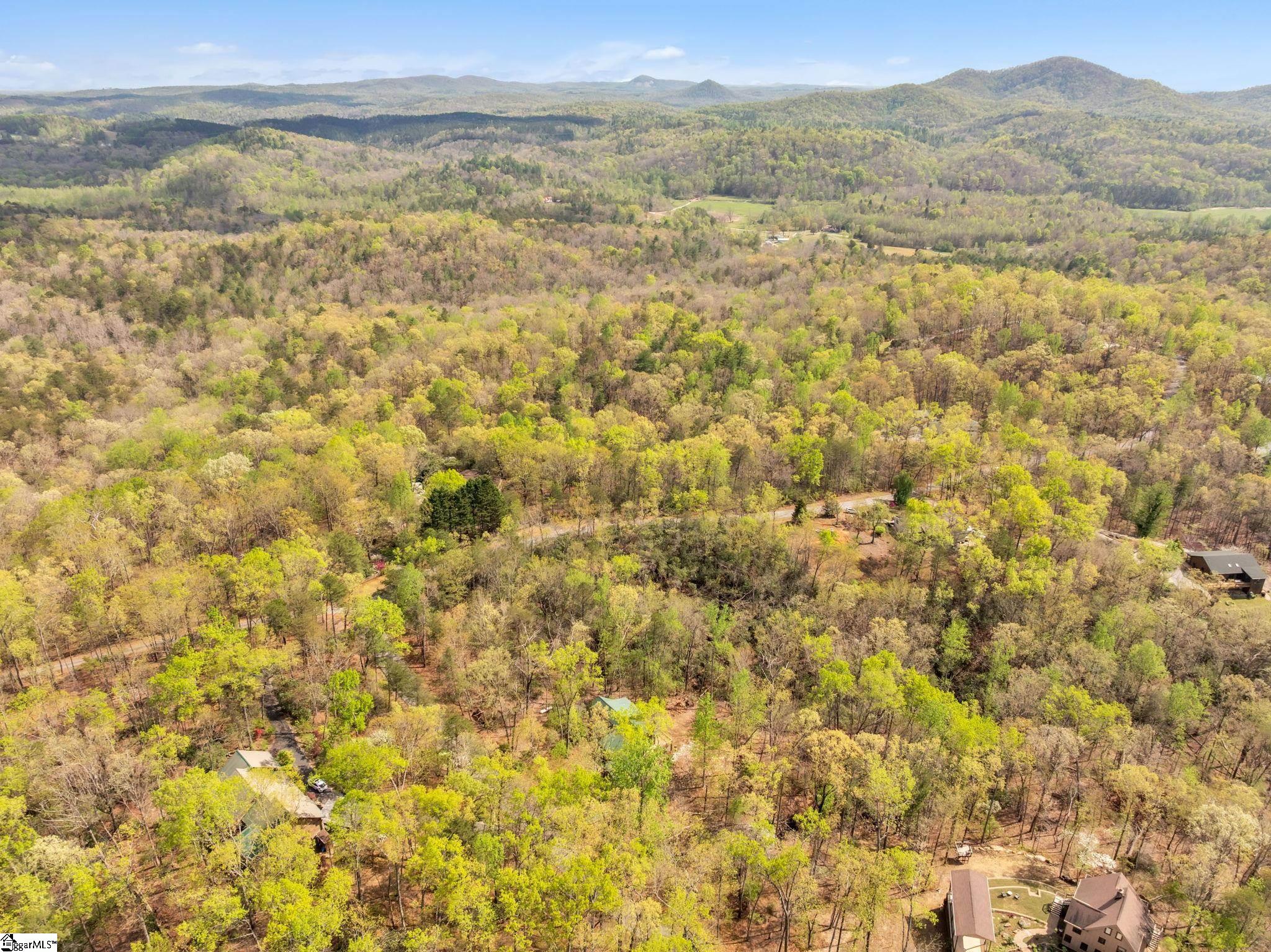 302 Doe, Pickens, South Carolina image 32
