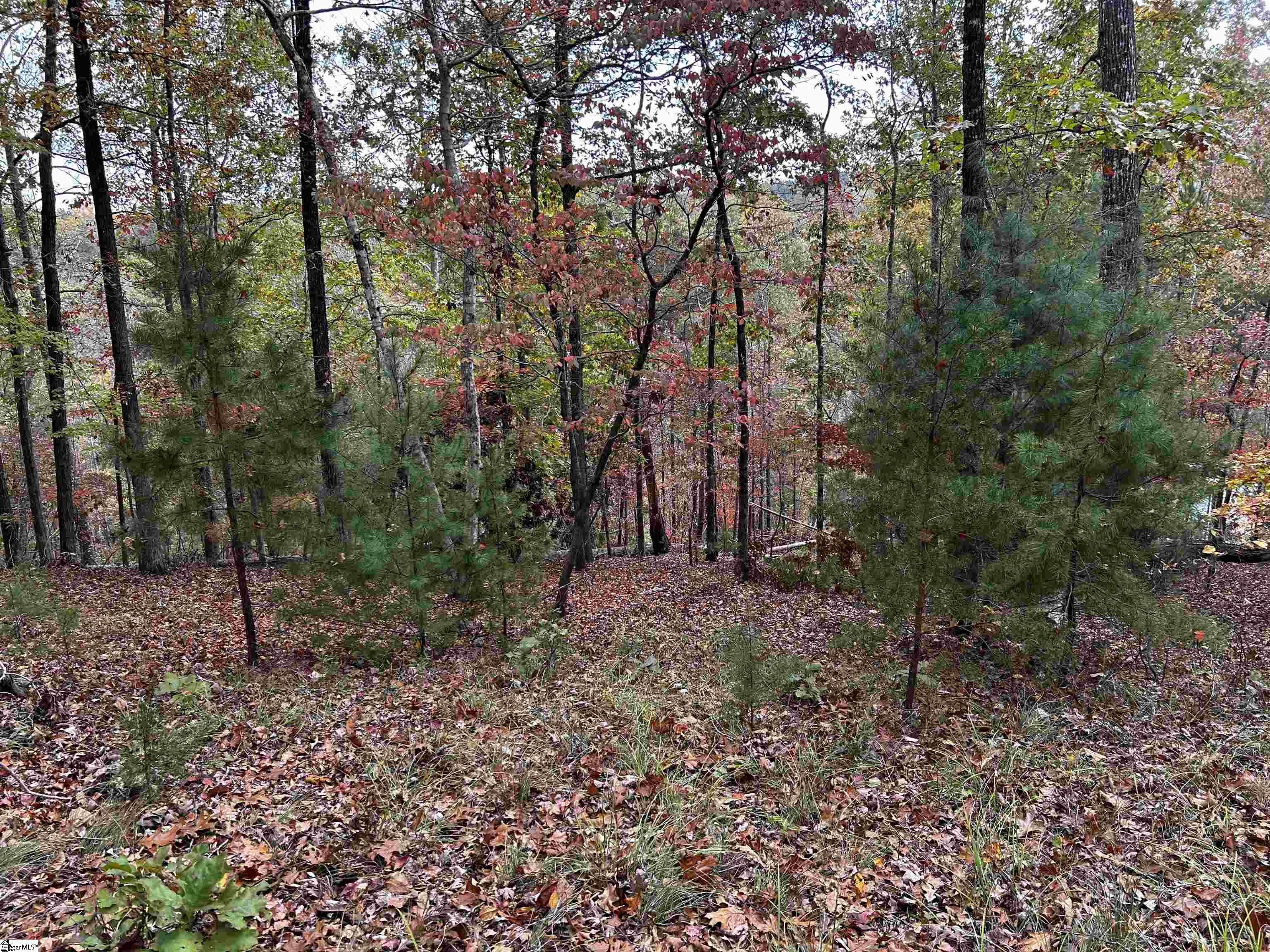 122 Summit Pine, Sunset, South Carolina image 6