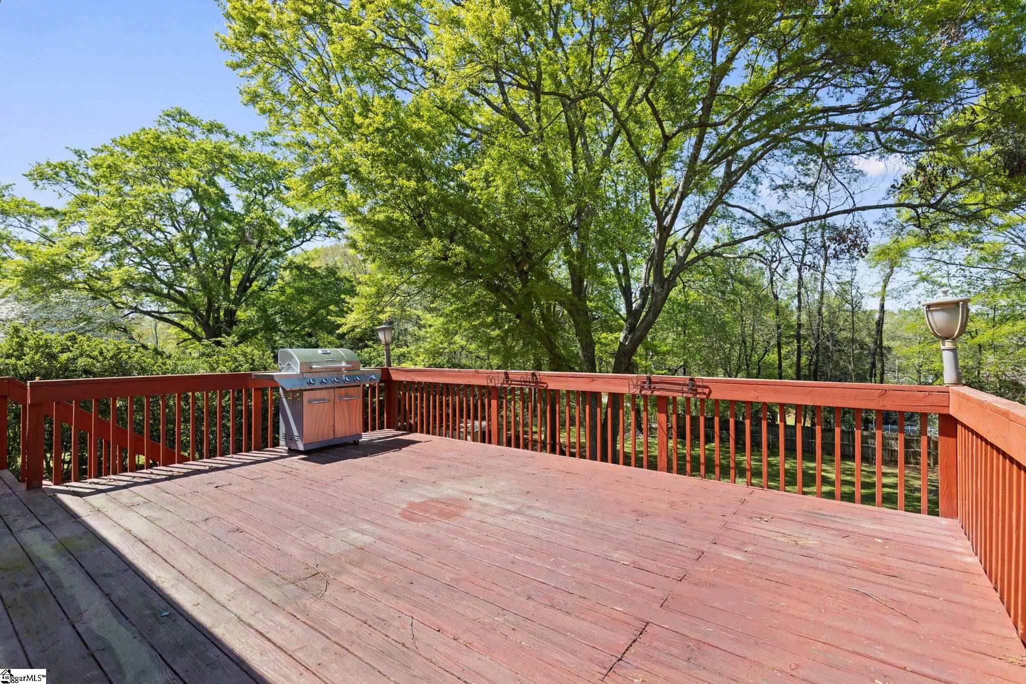 5 Winesap, Taylors, South Carolina image 20