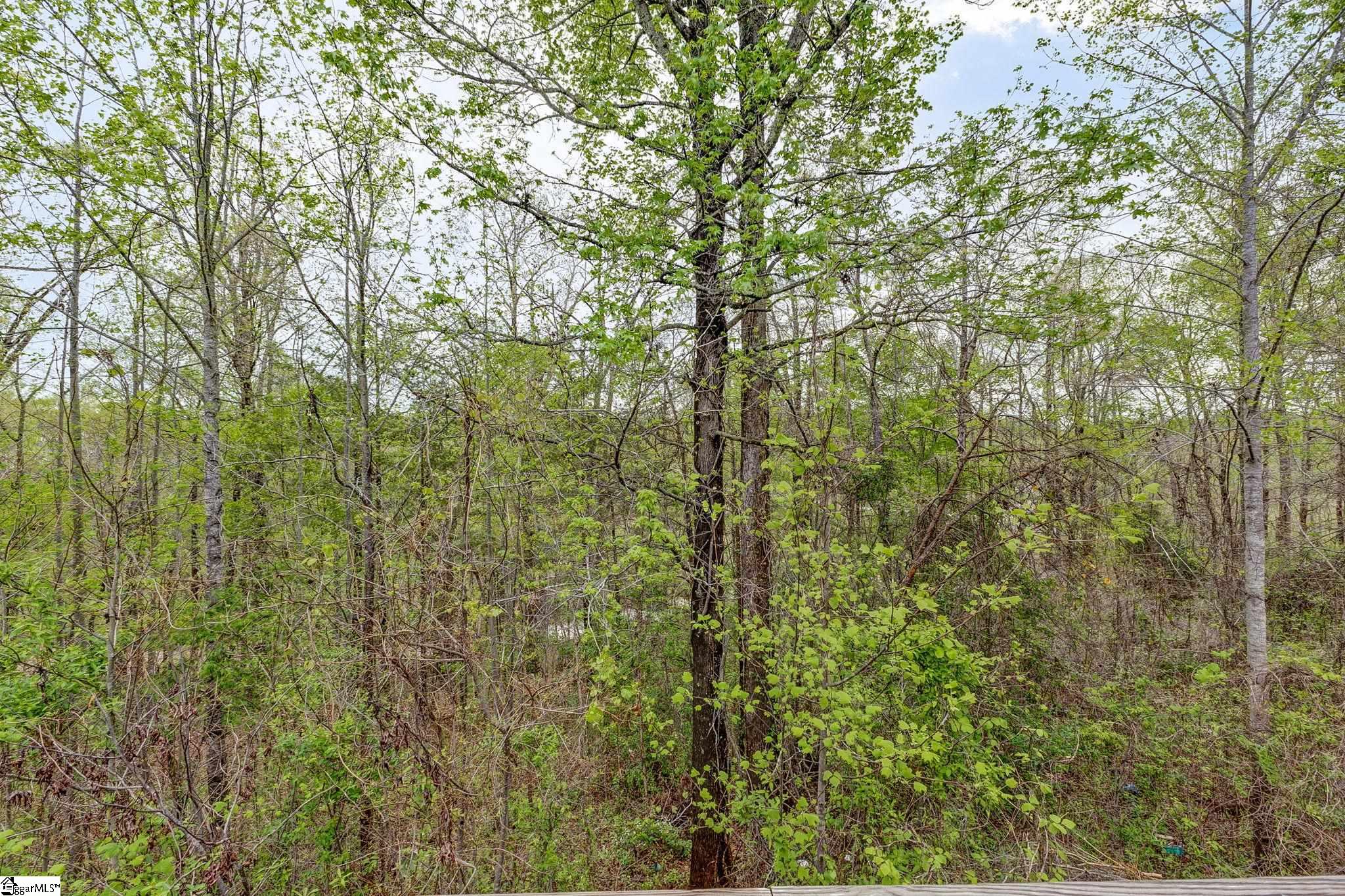 100 Huntress, Greer, South Carolina image 34