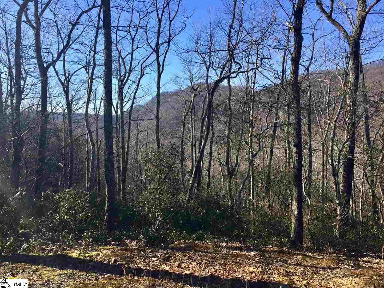 107 Sunfire, Travelers Rest, South Carolina image 2