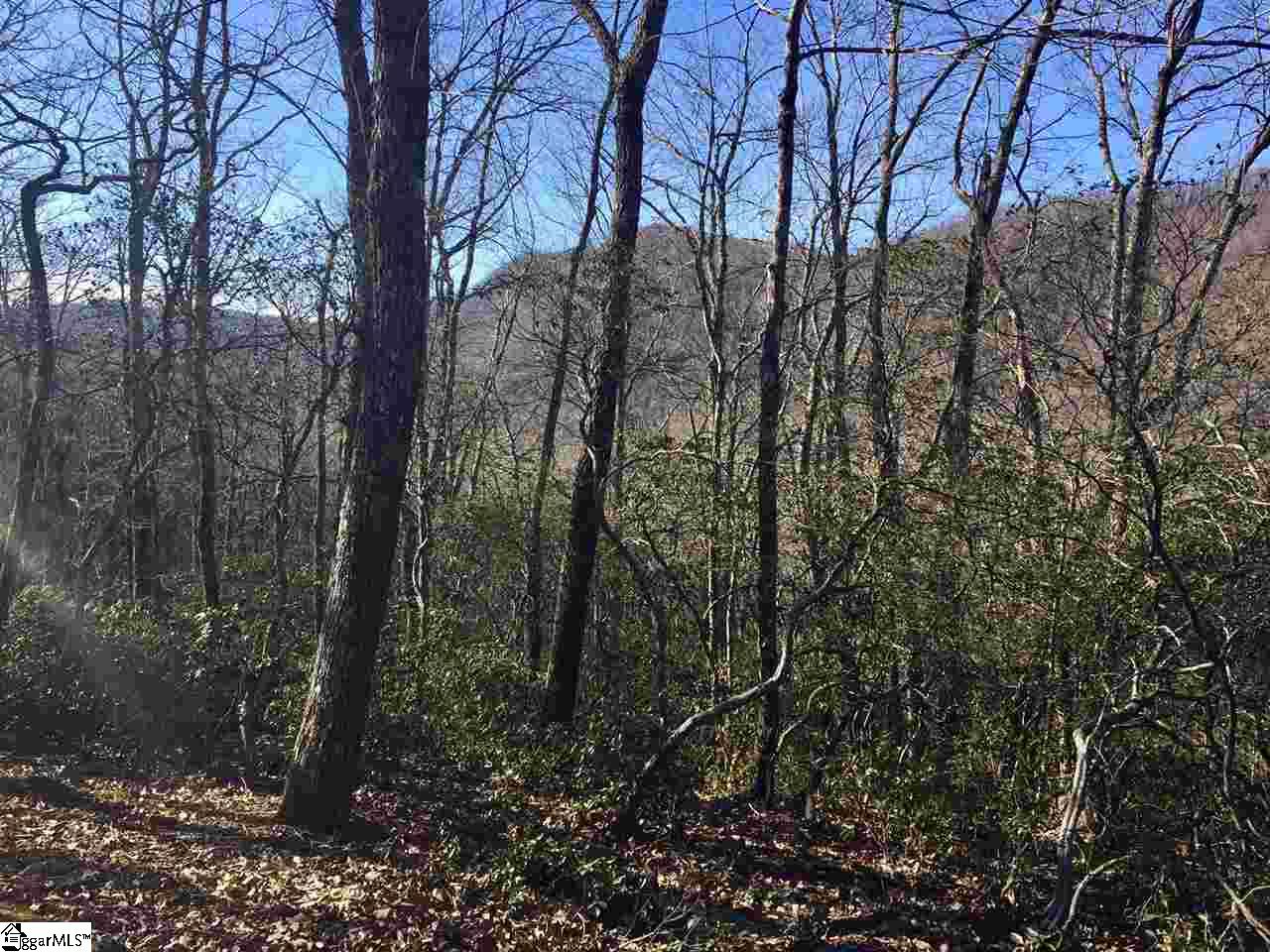 107 Sunfire, Travelers Rest, South Carolina image 4