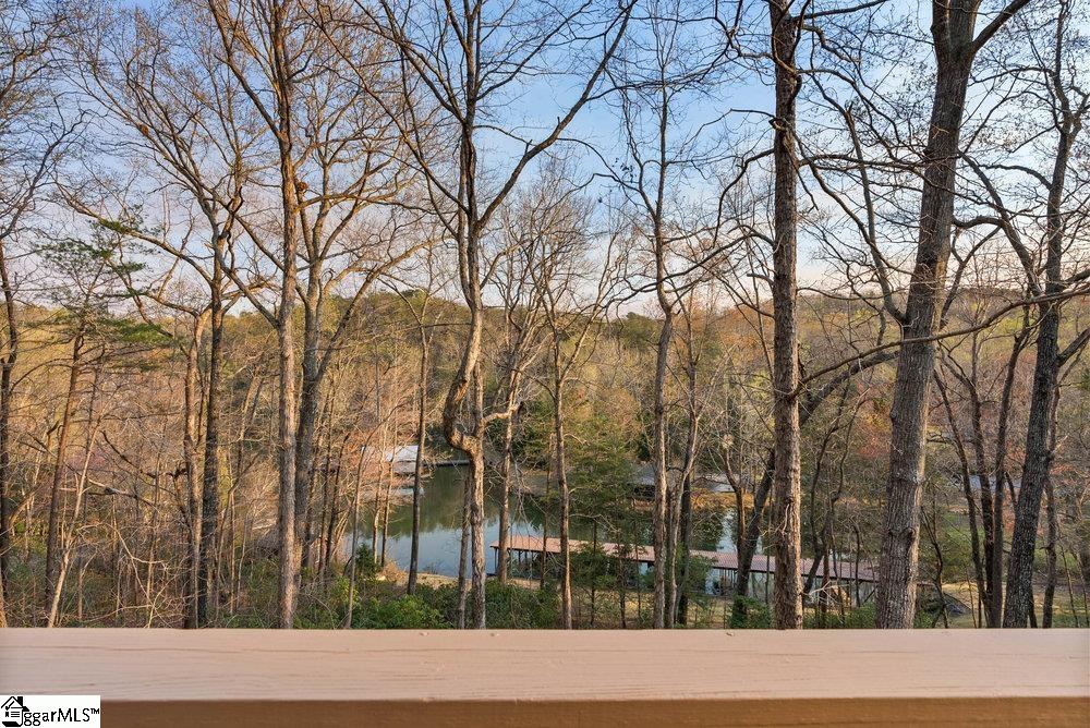 502 Caledonia, Landrum, South Carolina image 26