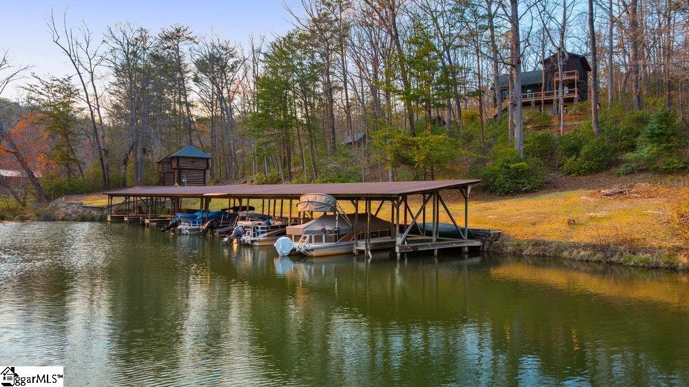 502 Caledonia, Landrum, South Carolina image 37