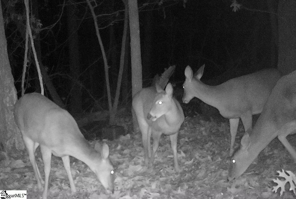 MLS #1553957 image #44