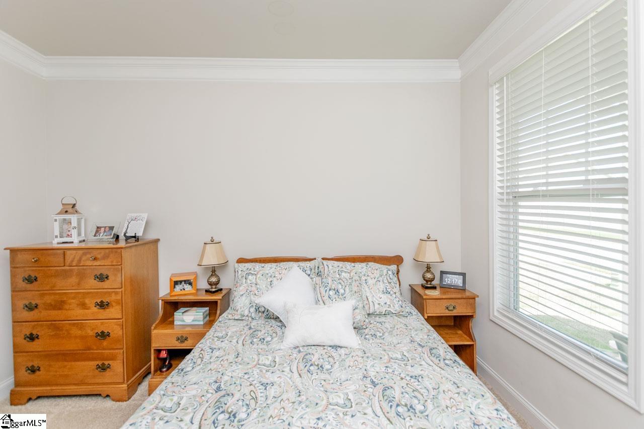 5 Yellow Fox, Greer, South Carolina image 26
