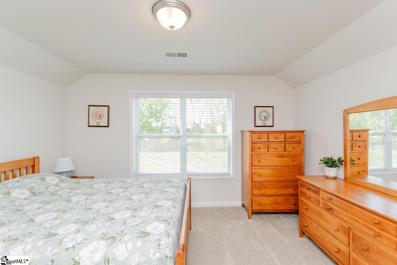 5 Yellow Fox, Greer, South Carolina image 29