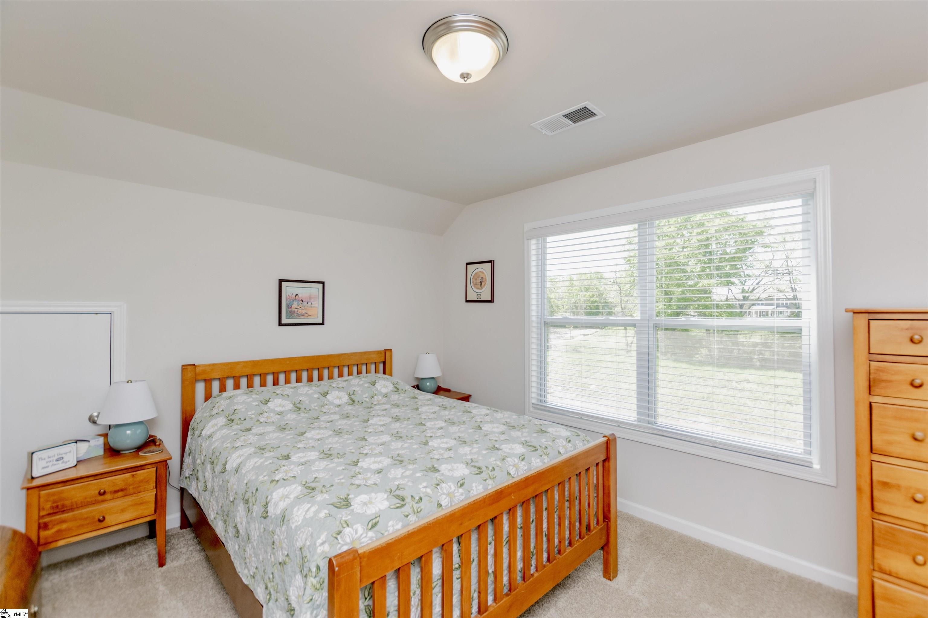 5 Yellow Fox, Greer, South Carolina image 31