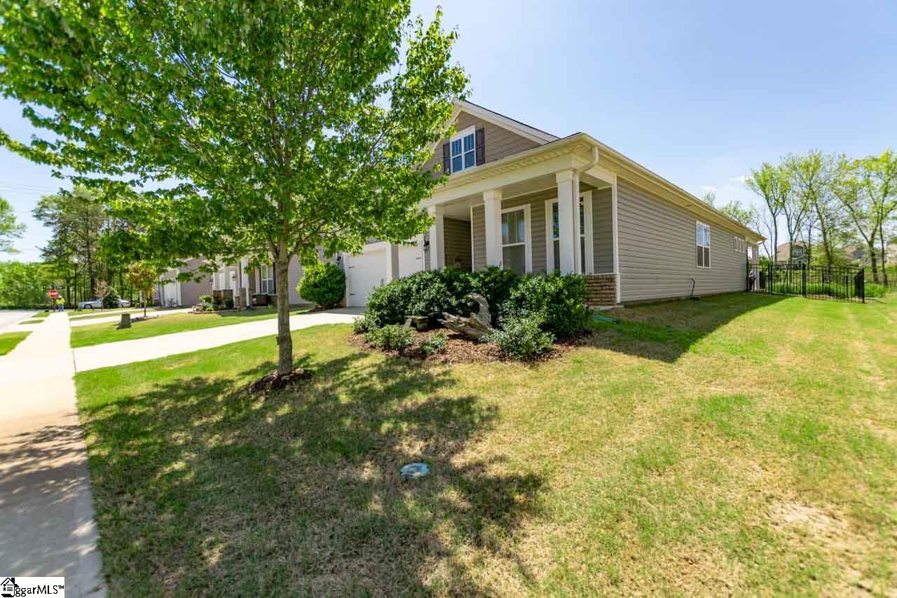 5 Yellow Fox, Greer, South Carolina image 42