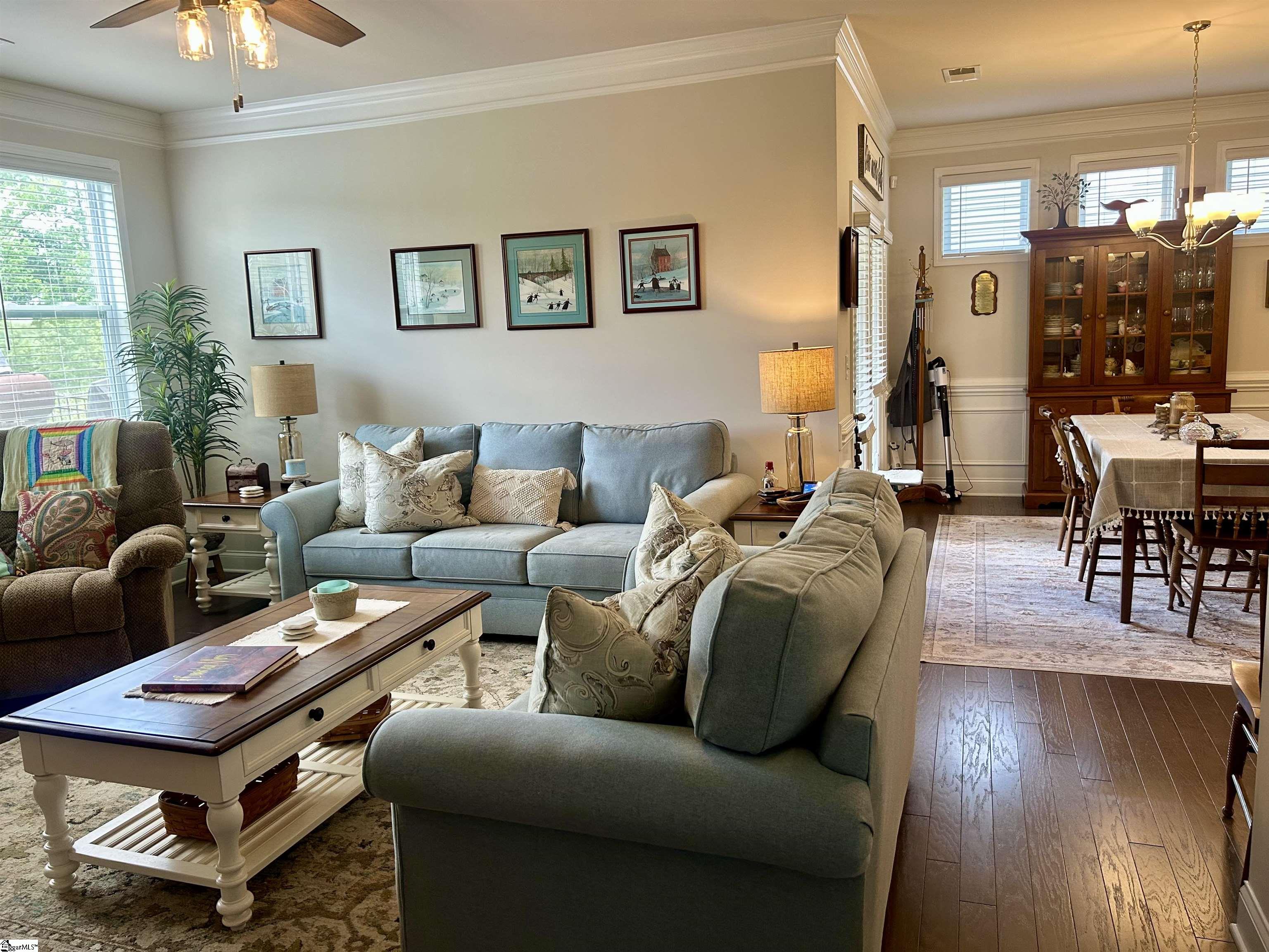 5 Yellow Fox, Greer, South Carolina image 6