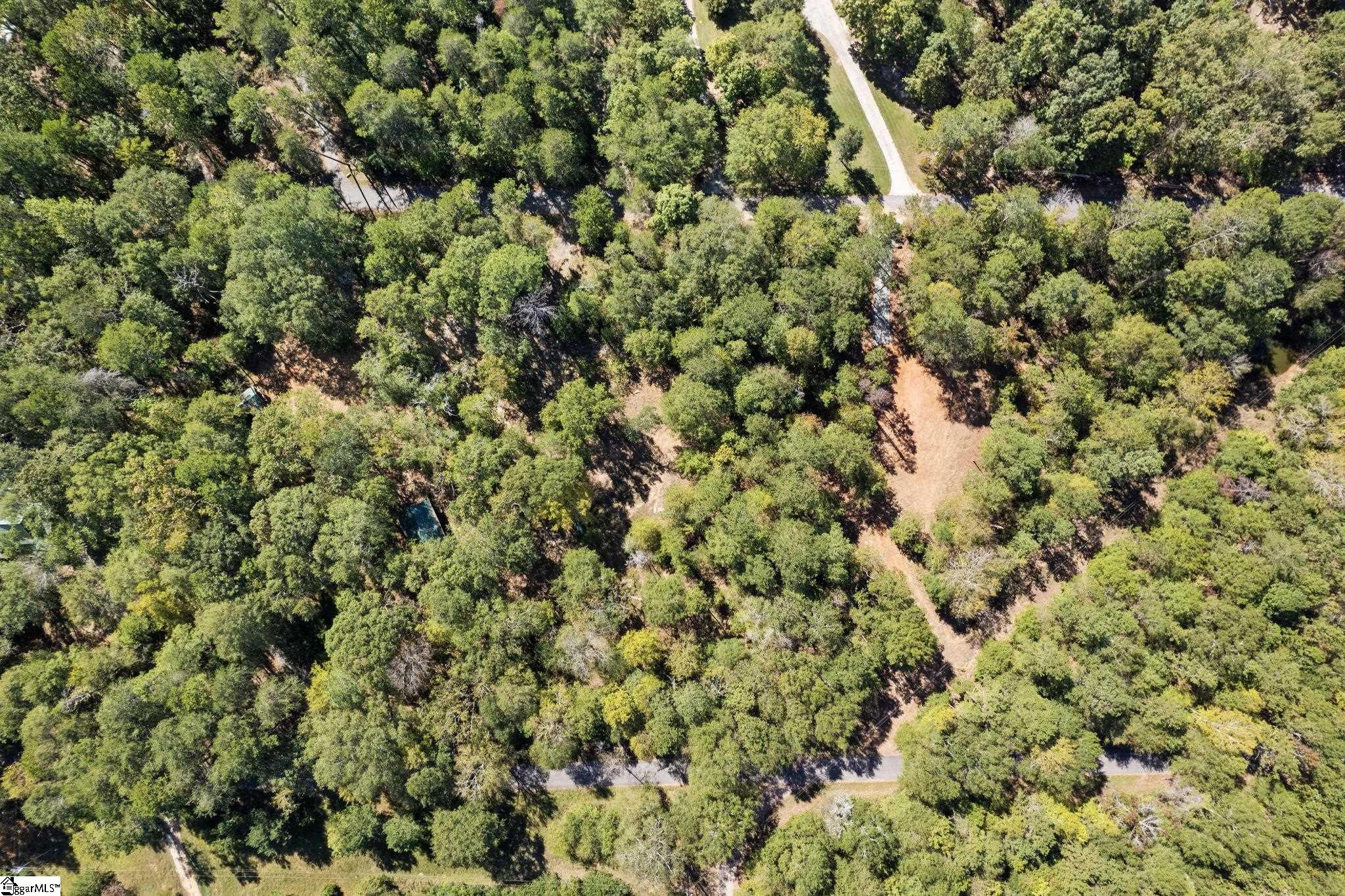 00 Camp Creek, Townville, South Carolina image 16