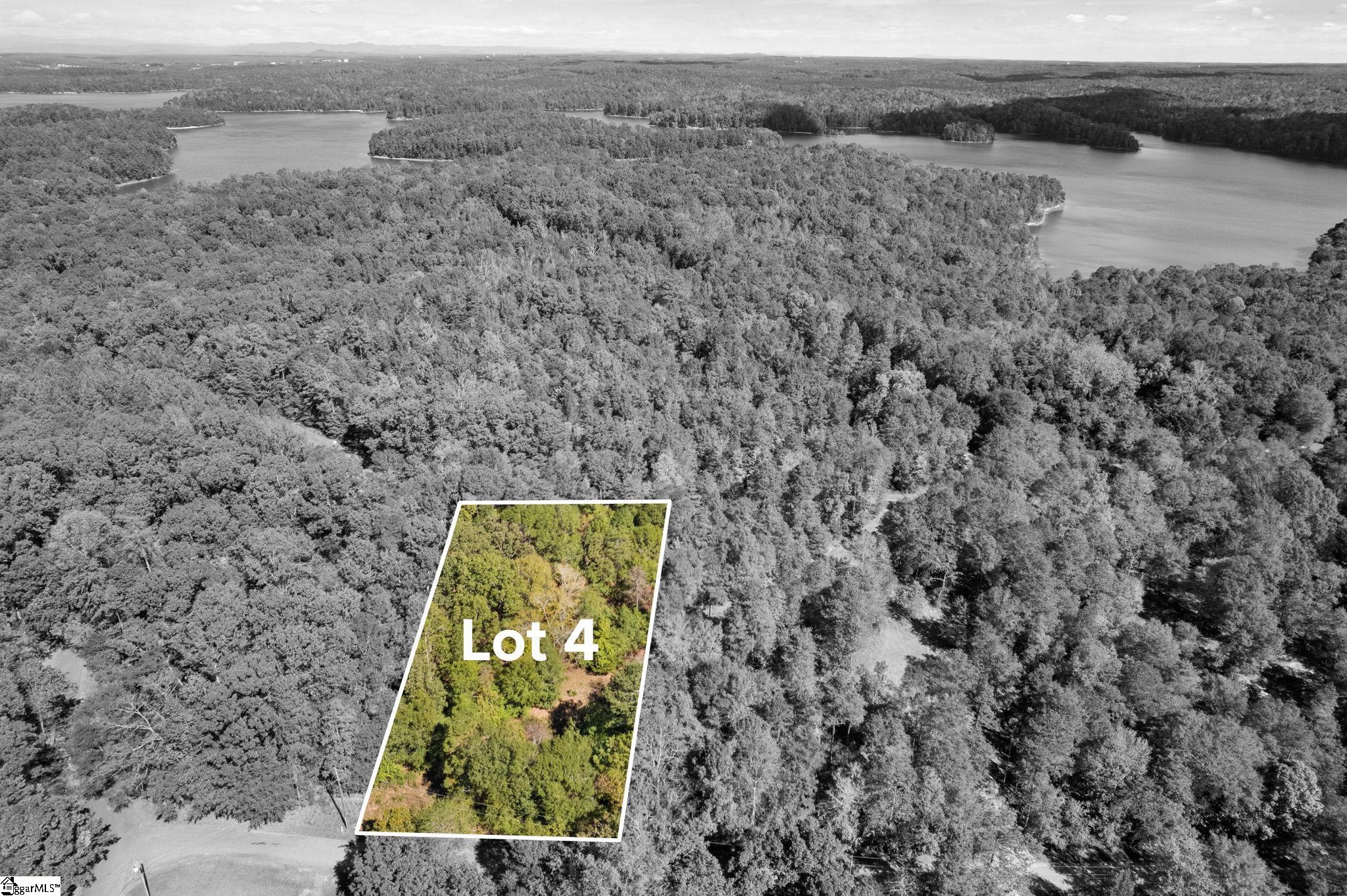 00 Camp Creek, Townville, South Carolina image 5