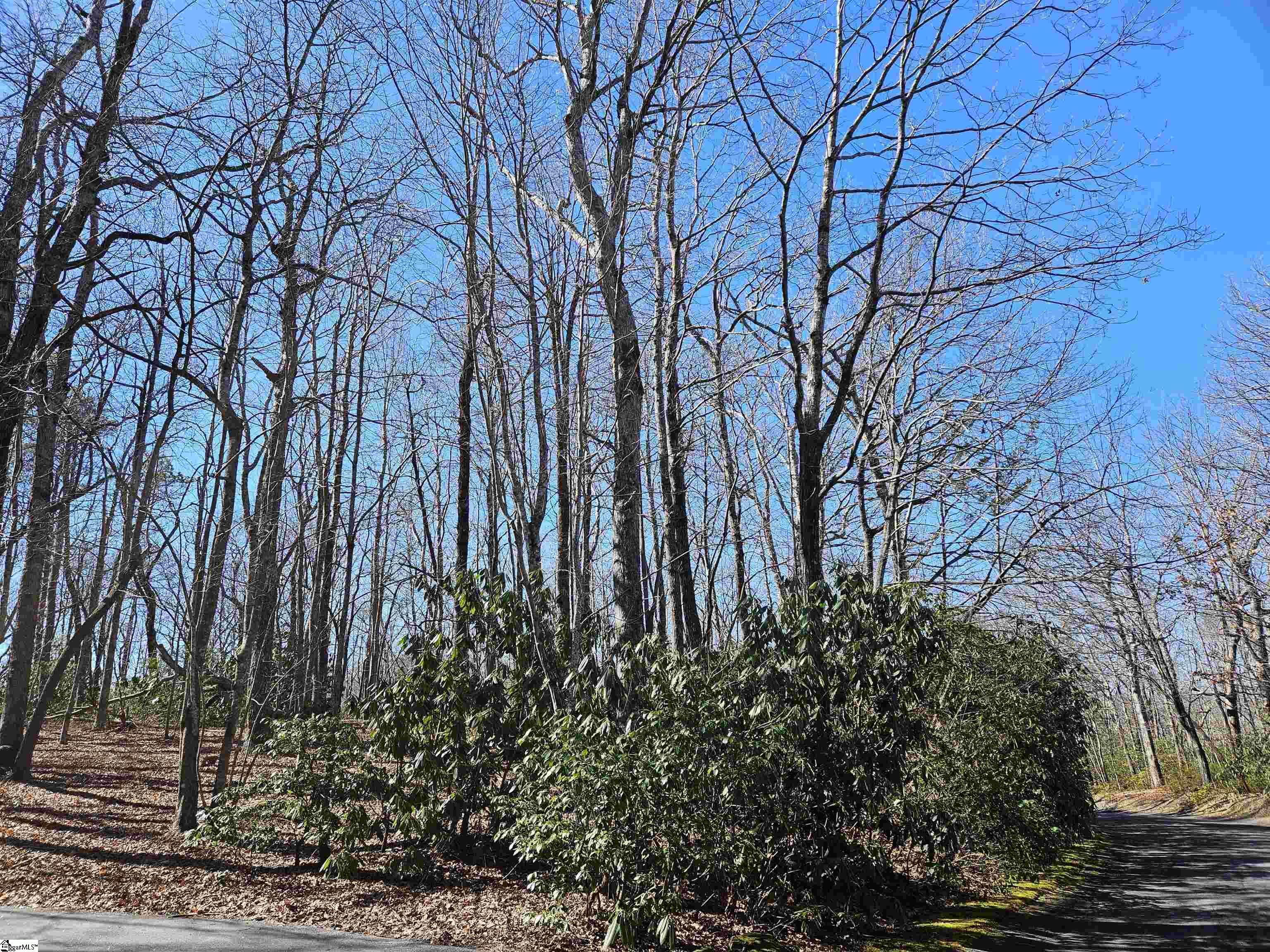 6 & 10 Larkspur, Cleveland, South Carolina image 3