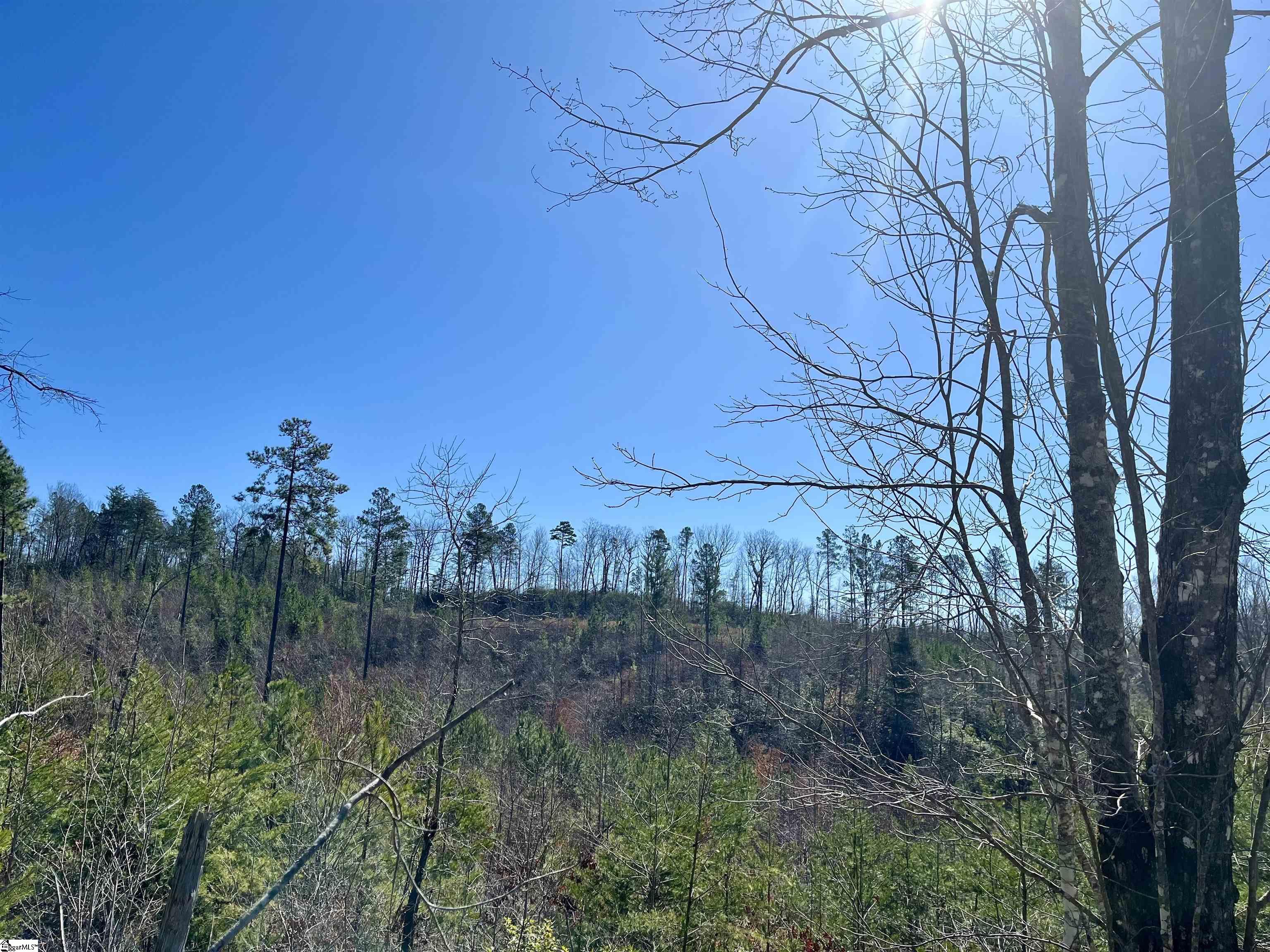 00 Landrum Creek, Marietta, South Carolina image 2