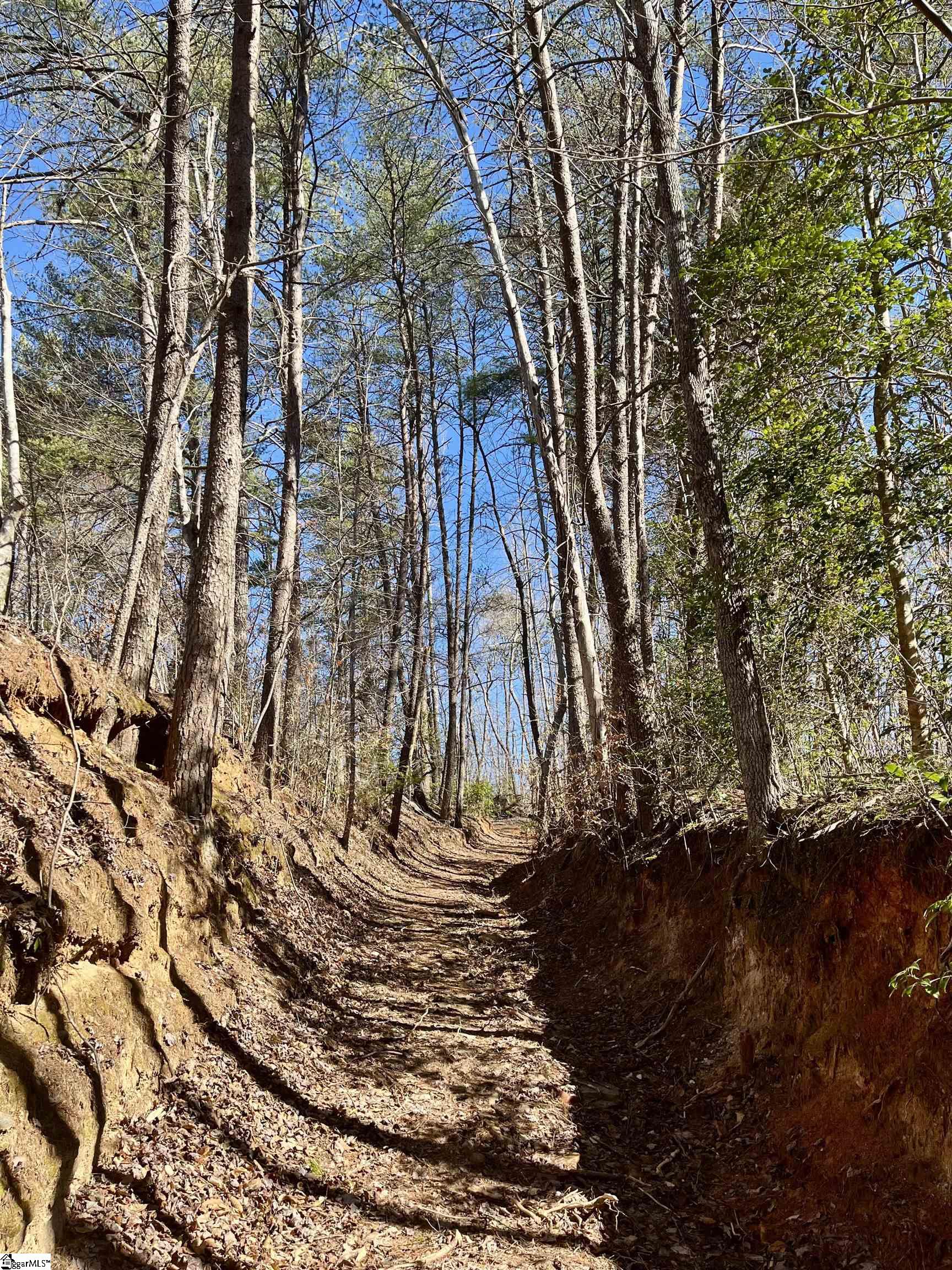 00 Landrum Creek, Marietta, South Carolina image 3