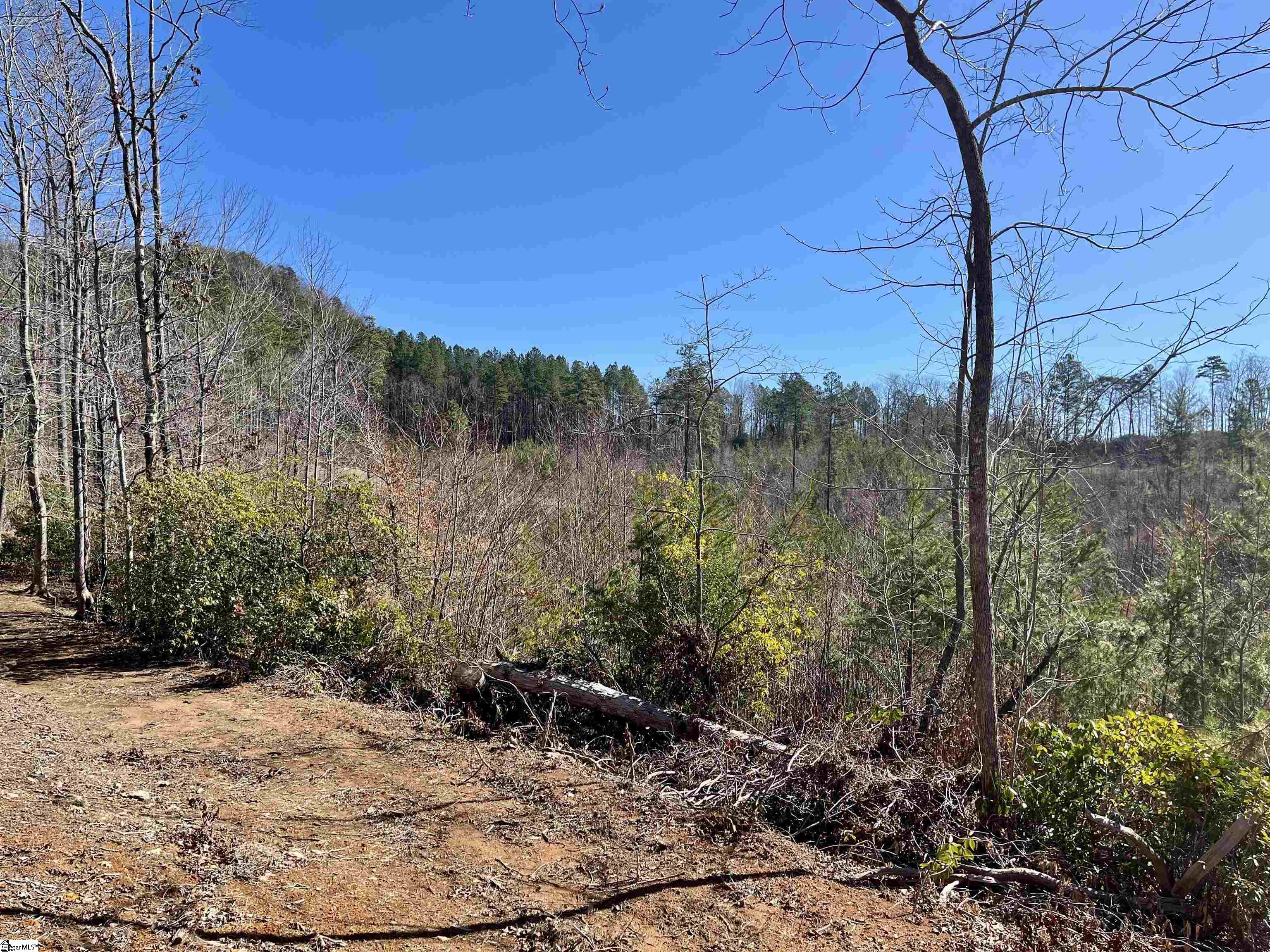 00 Landrum Creek, Marietta, South Carolina image 4