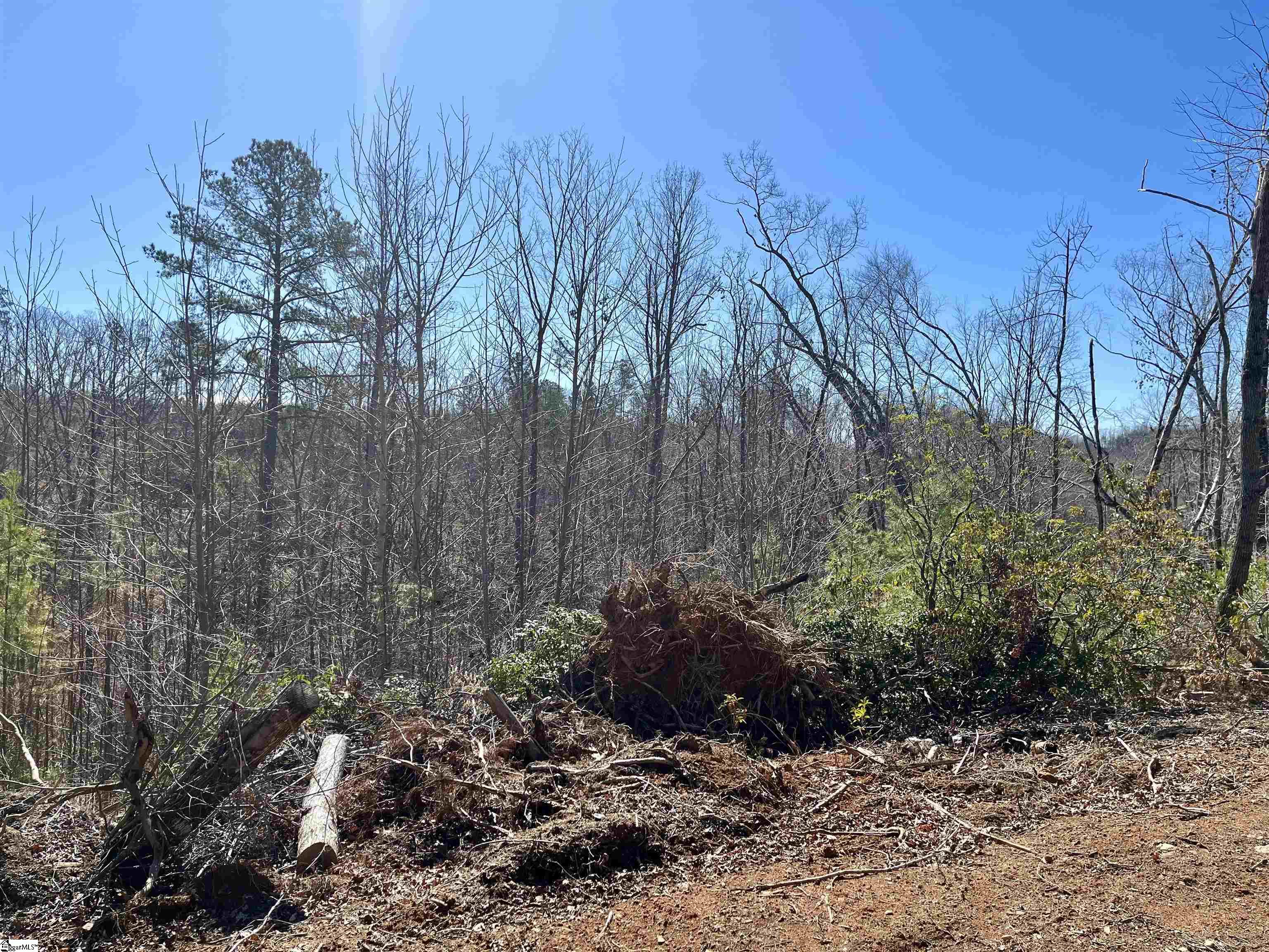 00 Landrum Creek, Marietta, South Carolina image 5